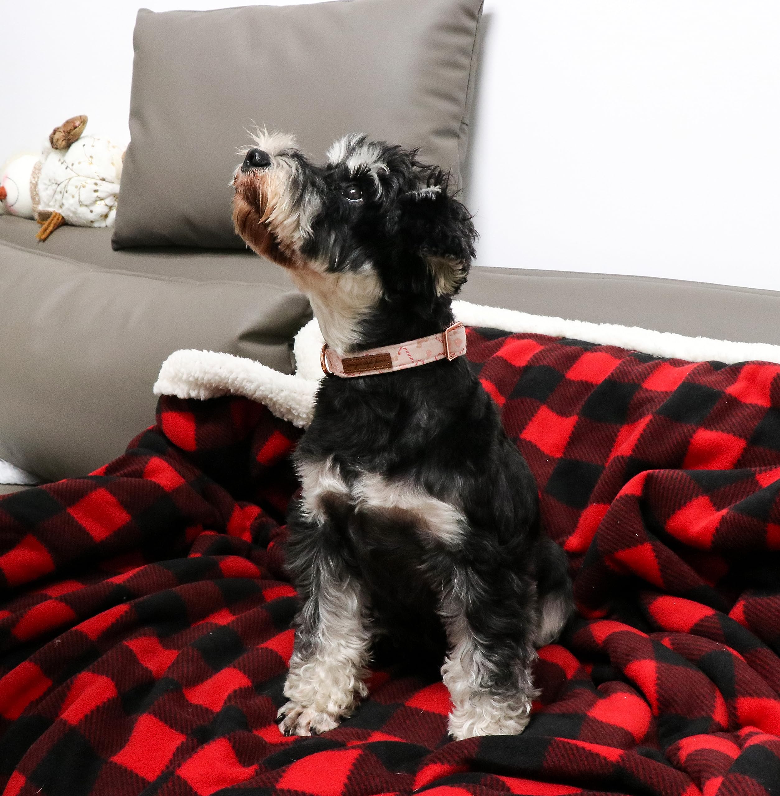 Unique Style Paws Christmas Dog Collar Metal Buckle Pink Gingerbread Puppy Collar Gift Durable Cute Collar For Small Medium Large Boys Girls Dogs