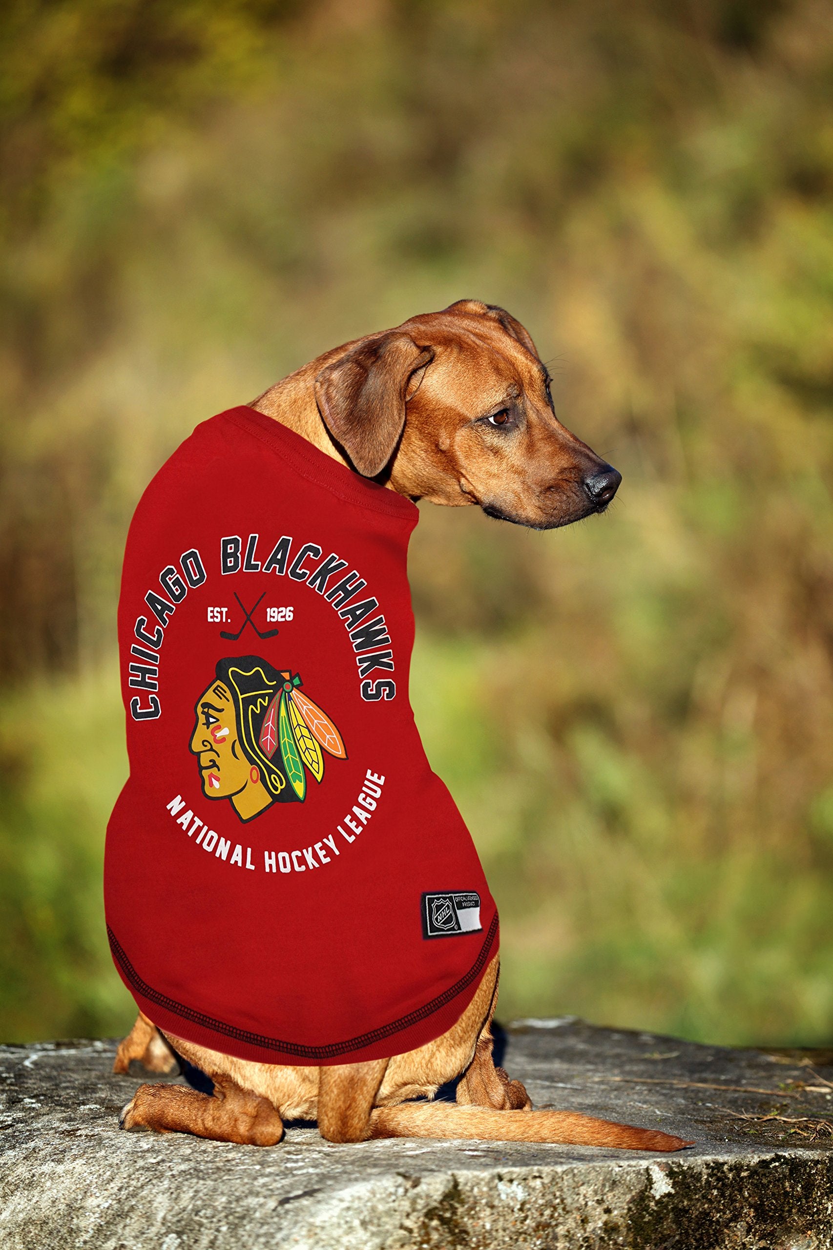 NHL Chicago Blackhawks Tee Shirt for Dogs & Cats, X-Small. - Are You A Hockey Fan? Let Your Pet Be An NHL Fan Too!