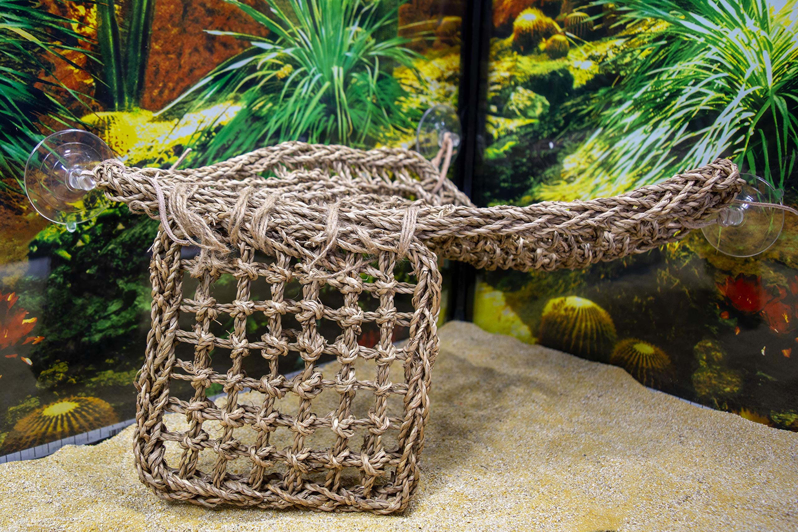 Penn-Plax 14X14 Lizard Lounger, Large By Penn-Plax