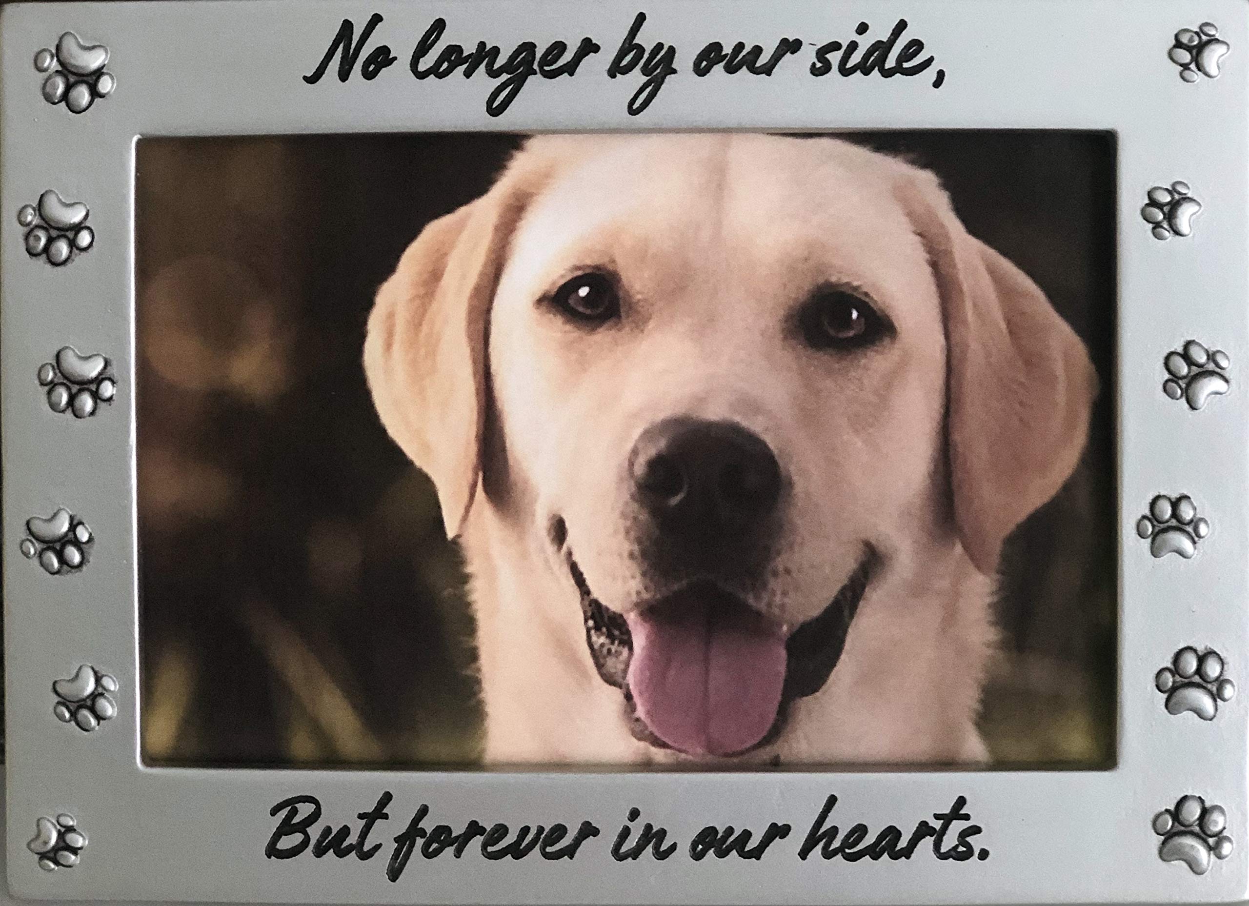 Pet Memorial Picture Frame Keepsake For Dog Or Cat, Perfect Loss Of Pet Gift For Remembrance And Healing