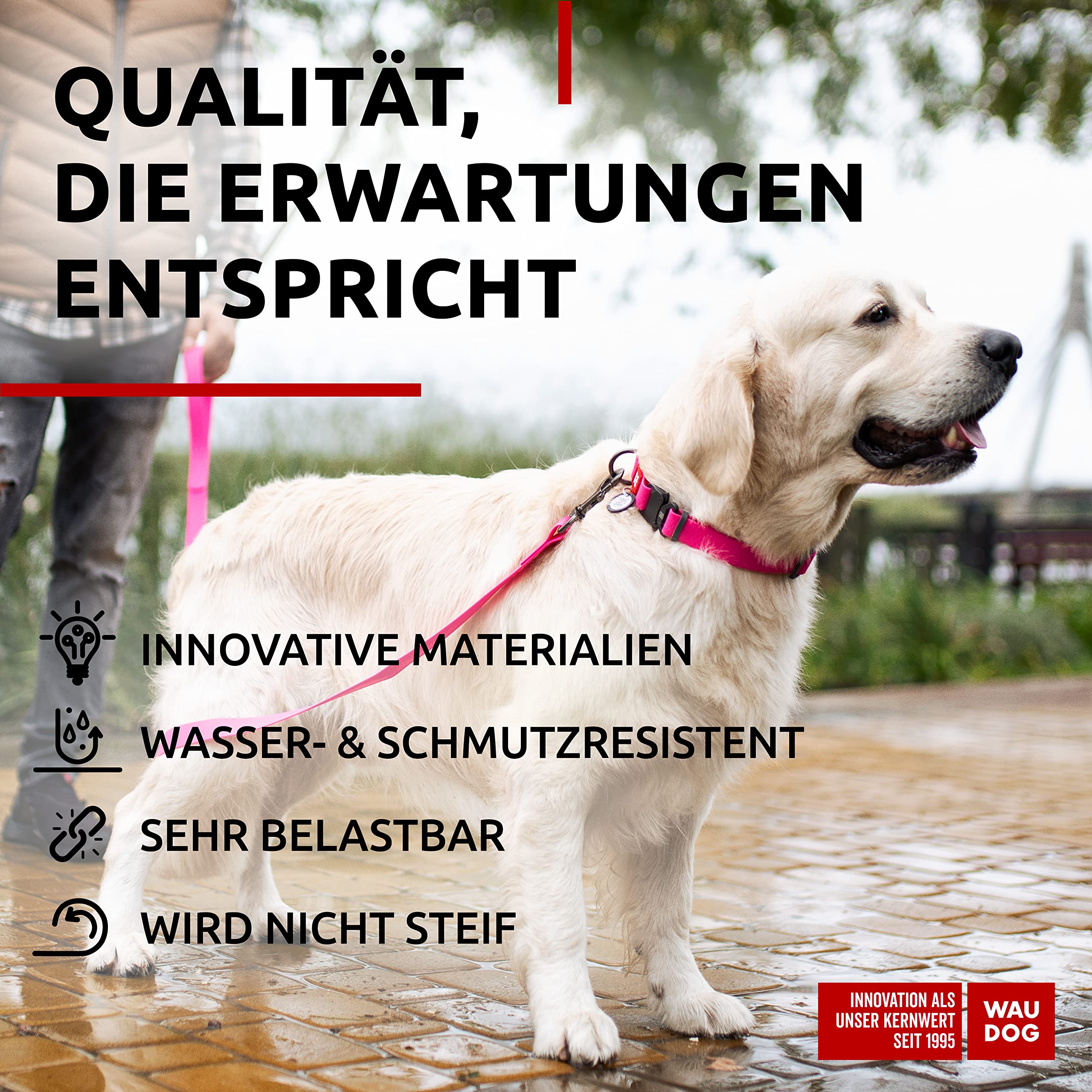 Waudog Waterproof Dog Collar - Adjustable Dog Collar For Large Dogs, Small And Medium Dogs - Heavy Duty Dog Collars With Durable