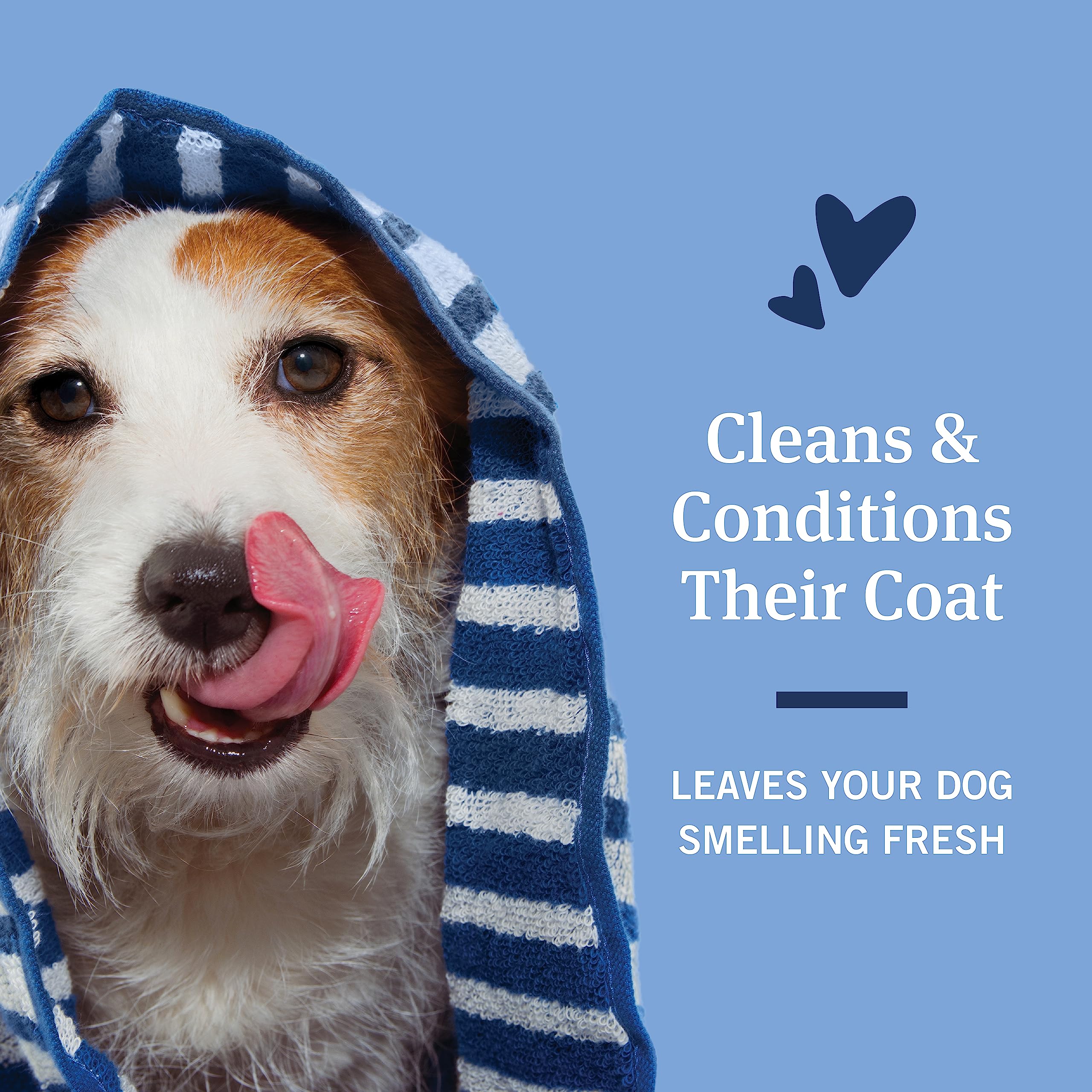 Petarmor Flea & Tick Protection Oatmeal Shampoo For Dogs, Hawaiian Ginger Scent, 18 Oz