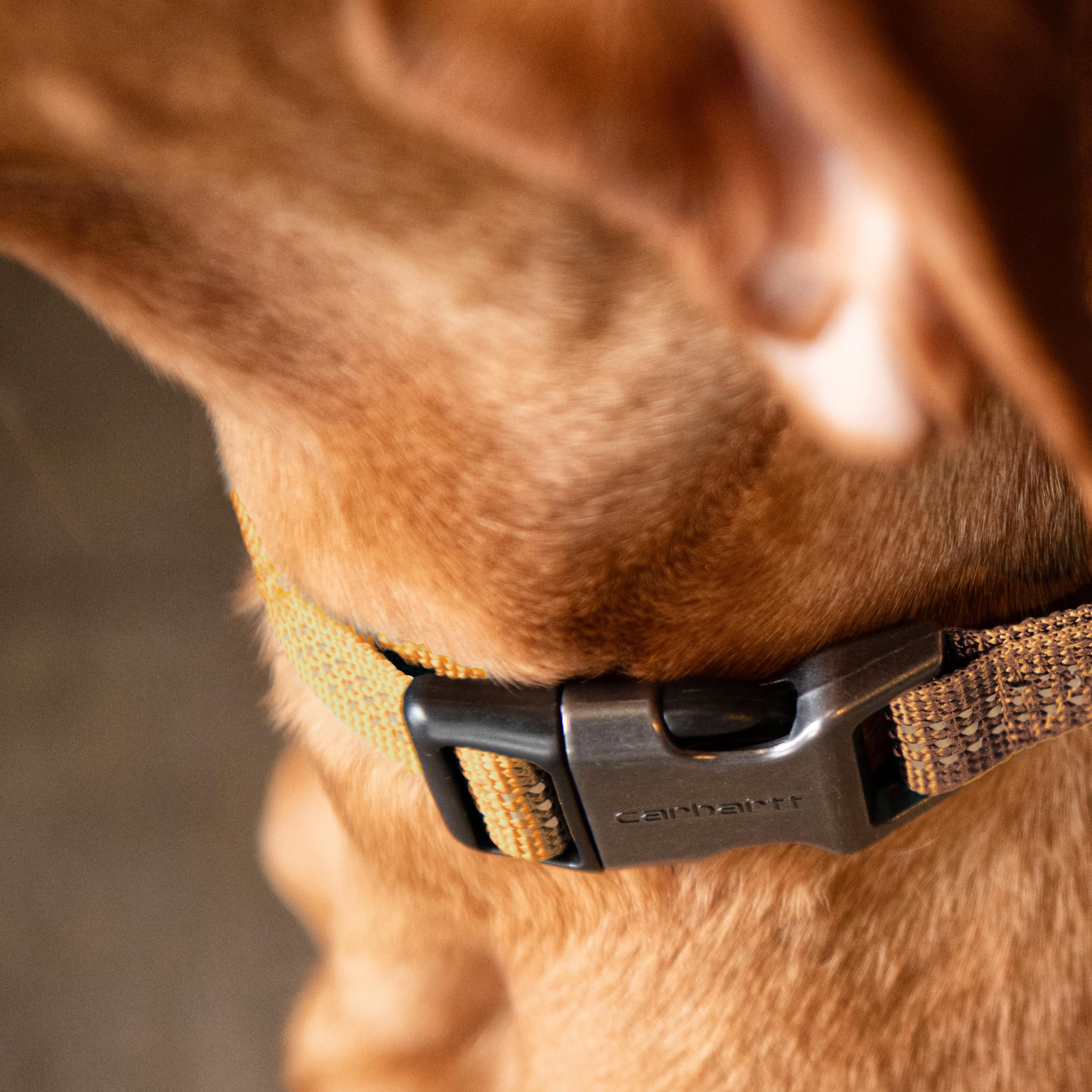 Carhartt Nylon Webbing Dog Collar, Adjustable, Light Moss, Large 18-26" (L) X 1" (W), Durable Side Release Buckle