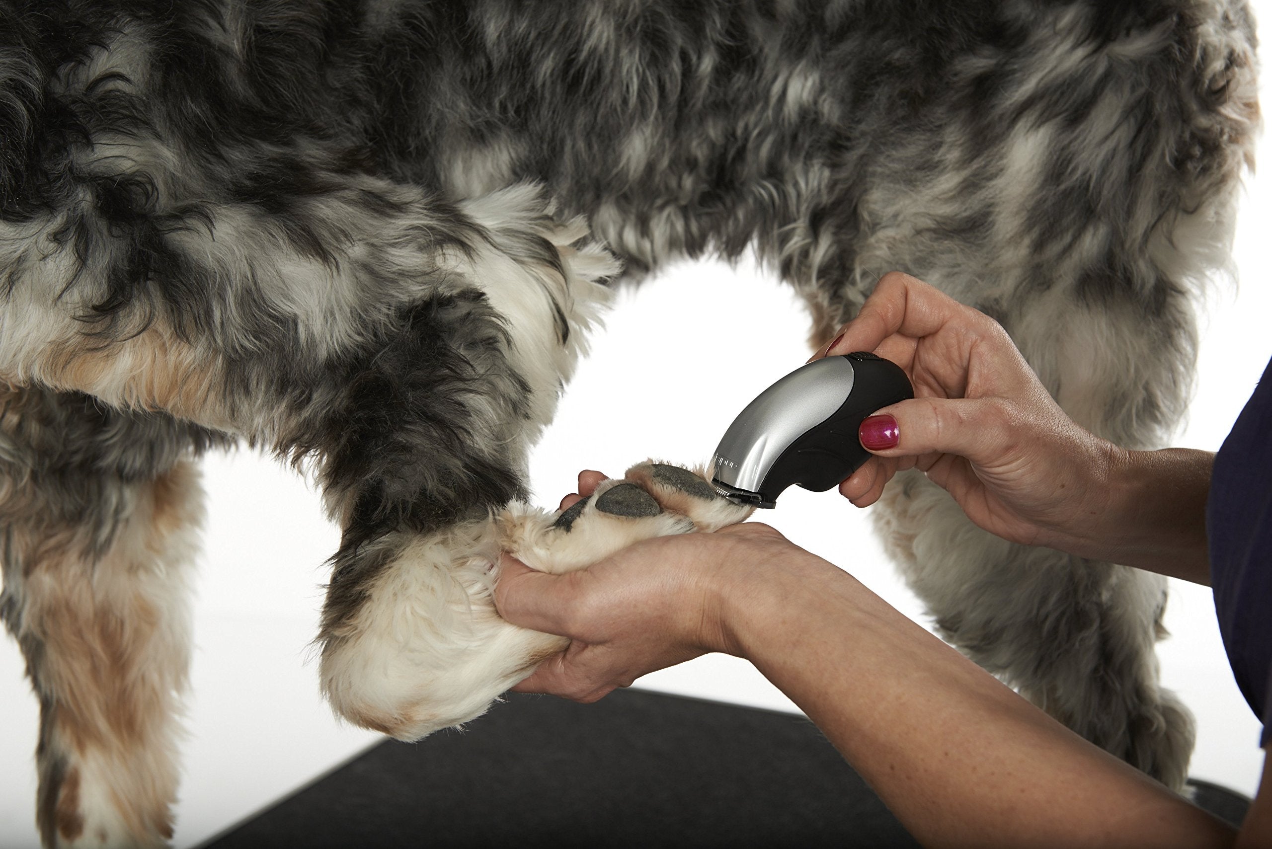 Andis 24865 Cordless Trim 'N Go 7-Piece Portable Trimmer - Animal/Dog Grooming, Silver