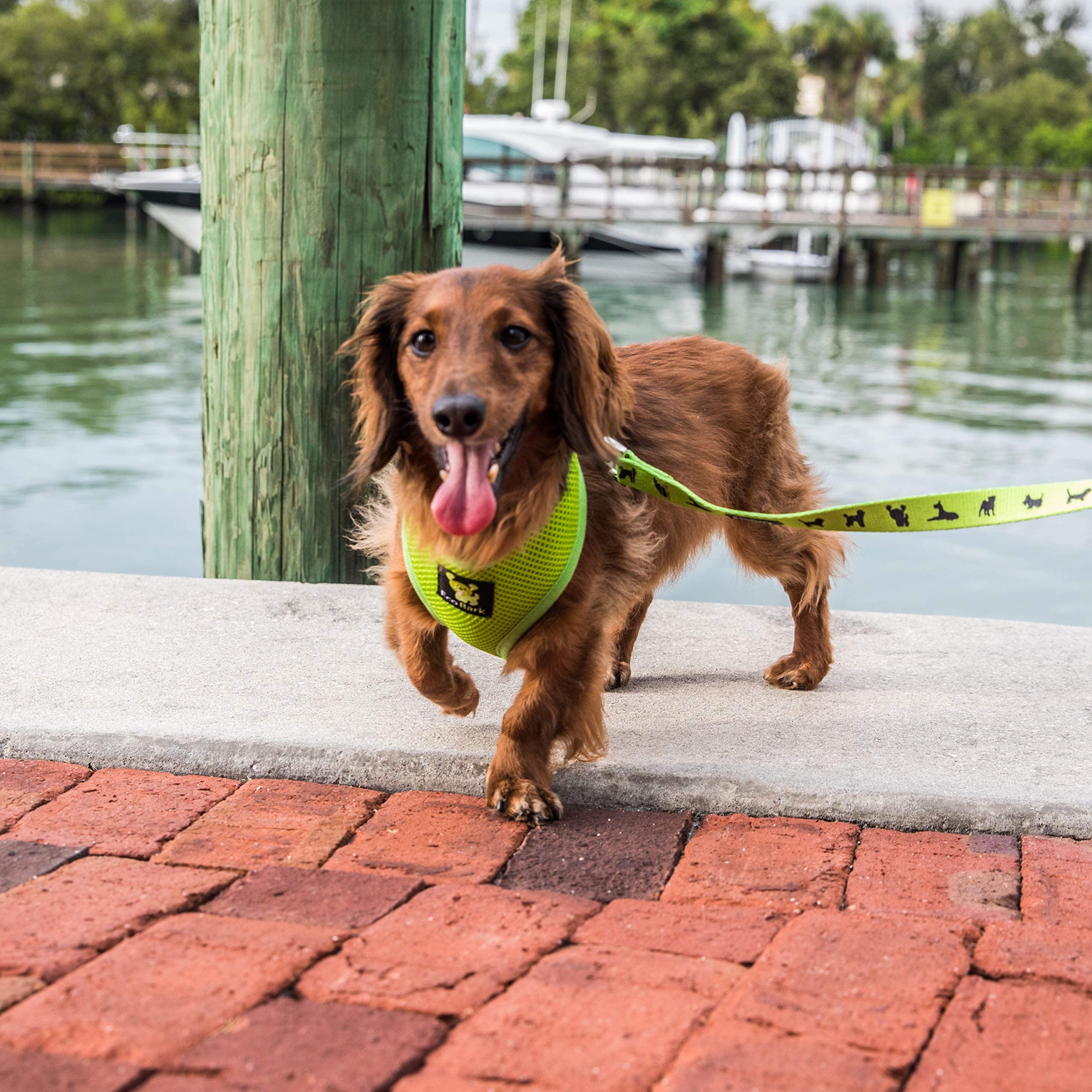 EcoBark Dog Harness - Eco-Friendly Max Comfort Harnesses - Luxurious Soft Mesh Halter - Over The Head Harness Vest- No Pull and
