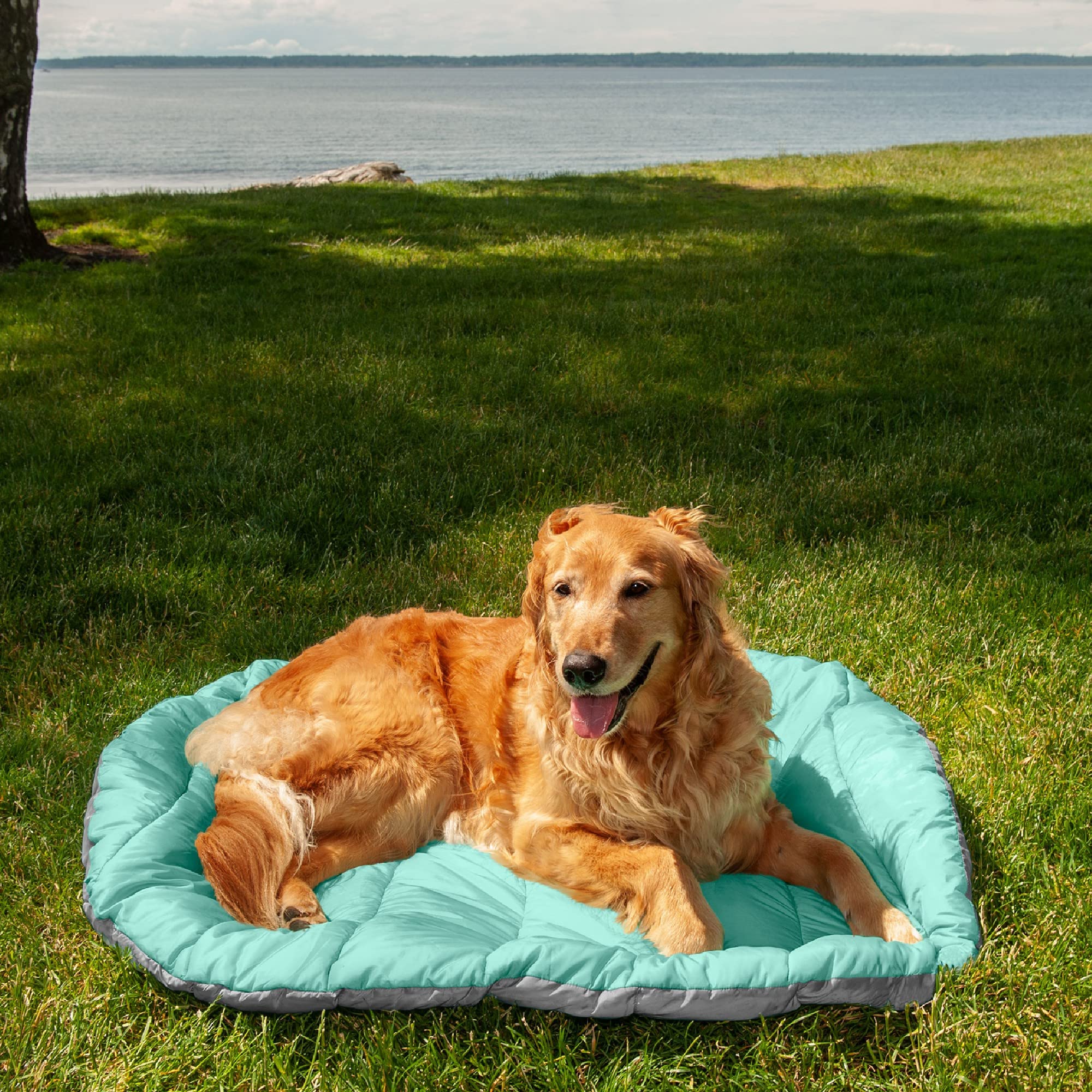 Furhaven Outdoor Travel Dog Bed For Large/Medium Dogs W/ Carry Bag, Washable & Foldable, Great For Crates & Kennels - Trail Pup Travel Pillow Mat W/ Stuff Sack Bag - Aqua/Granite Gray, Large