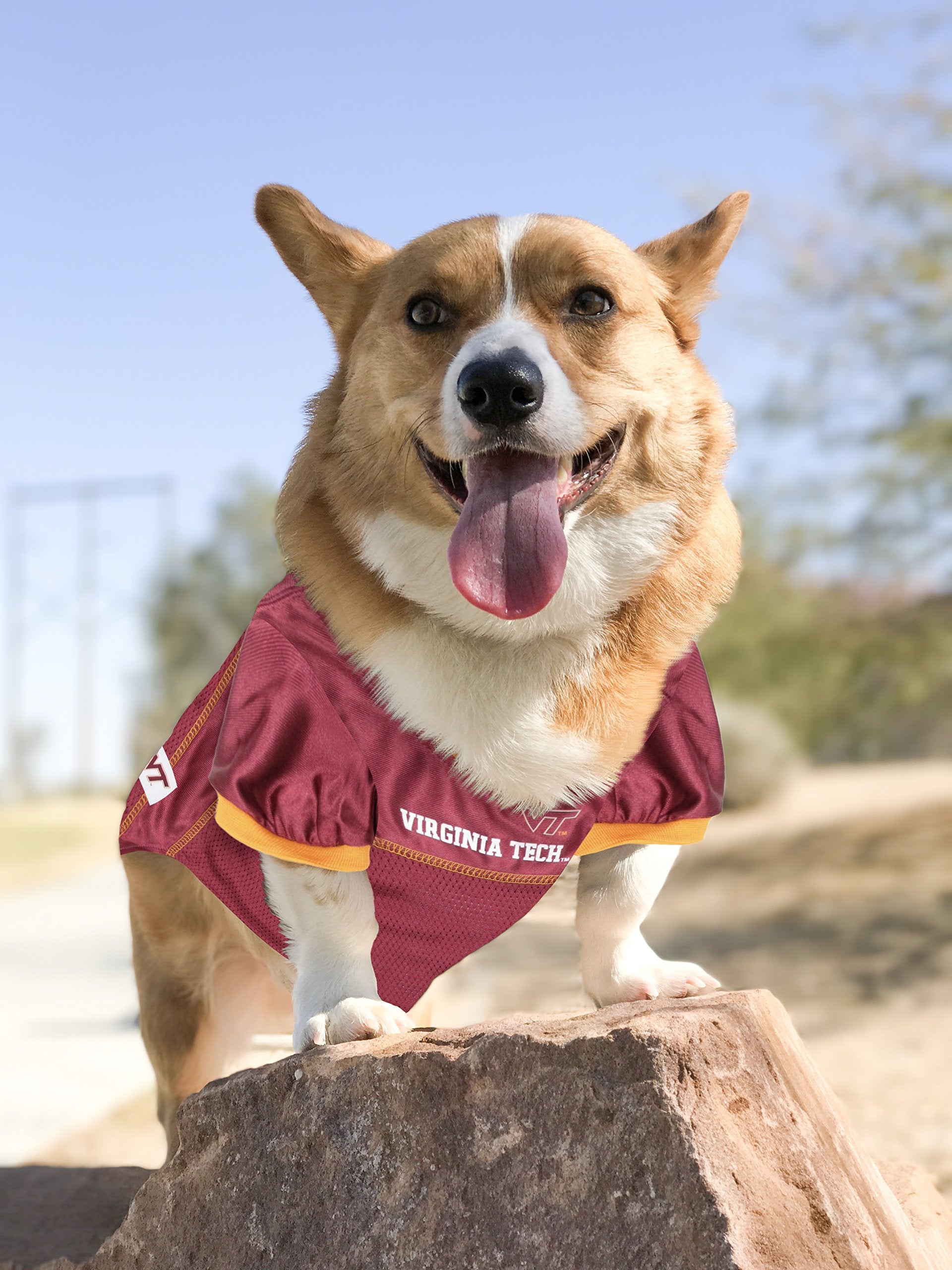 Pets First NCAA College Virginia Tech Hokies Mesh Jersey for DOGS & CATS, Medium. Licensed Dog Jersey with your Favorite Footbal