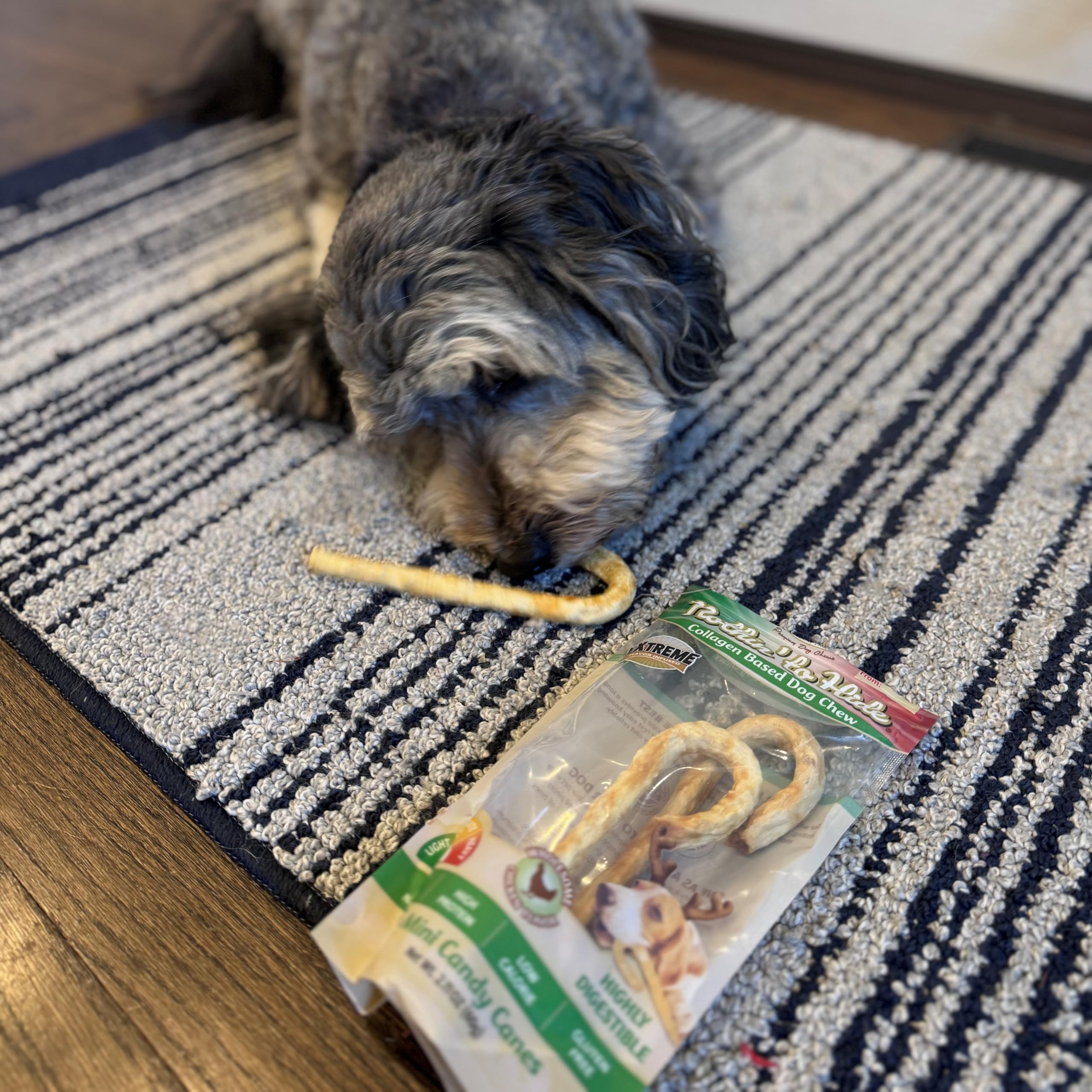 Fieldcrest Farms Nothin to Hide Mini Holiday Candy Cane Chicken Flavor Dog Chews, Rawhide-Free, Easily Digestible, Long-Lasting