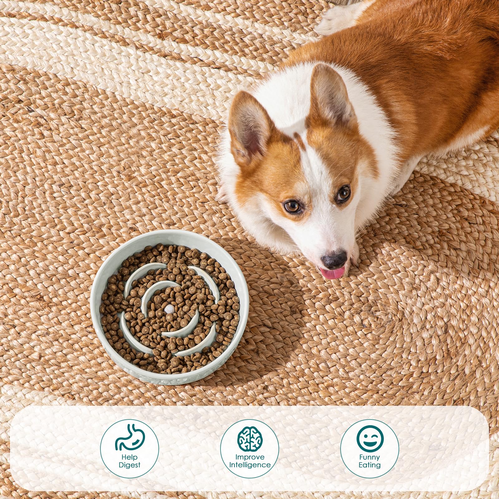 vancasso Slow Feeder Dog Bowl, 1.5 Cups Ceramic Dog Food Dish for Fast Eaters Small Breed, Puzzle Bowl for Small Dogs and Cats,