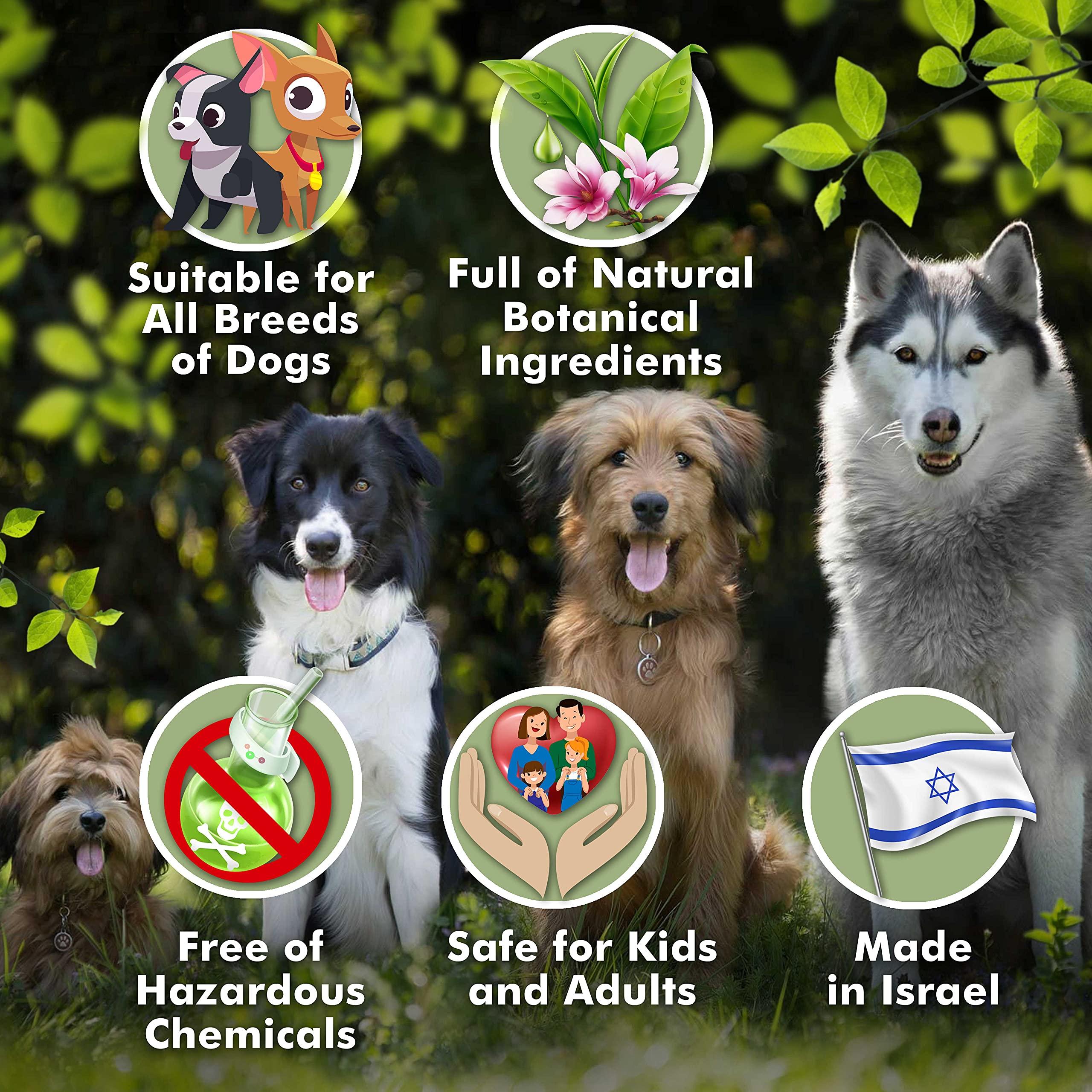 Arava Natural Medicated Dog Shampoo - Anti Yeast Anti Itch Dog Shampoo - Healthy Skin & Coat - First Aid In Hot Spots Ringworm S