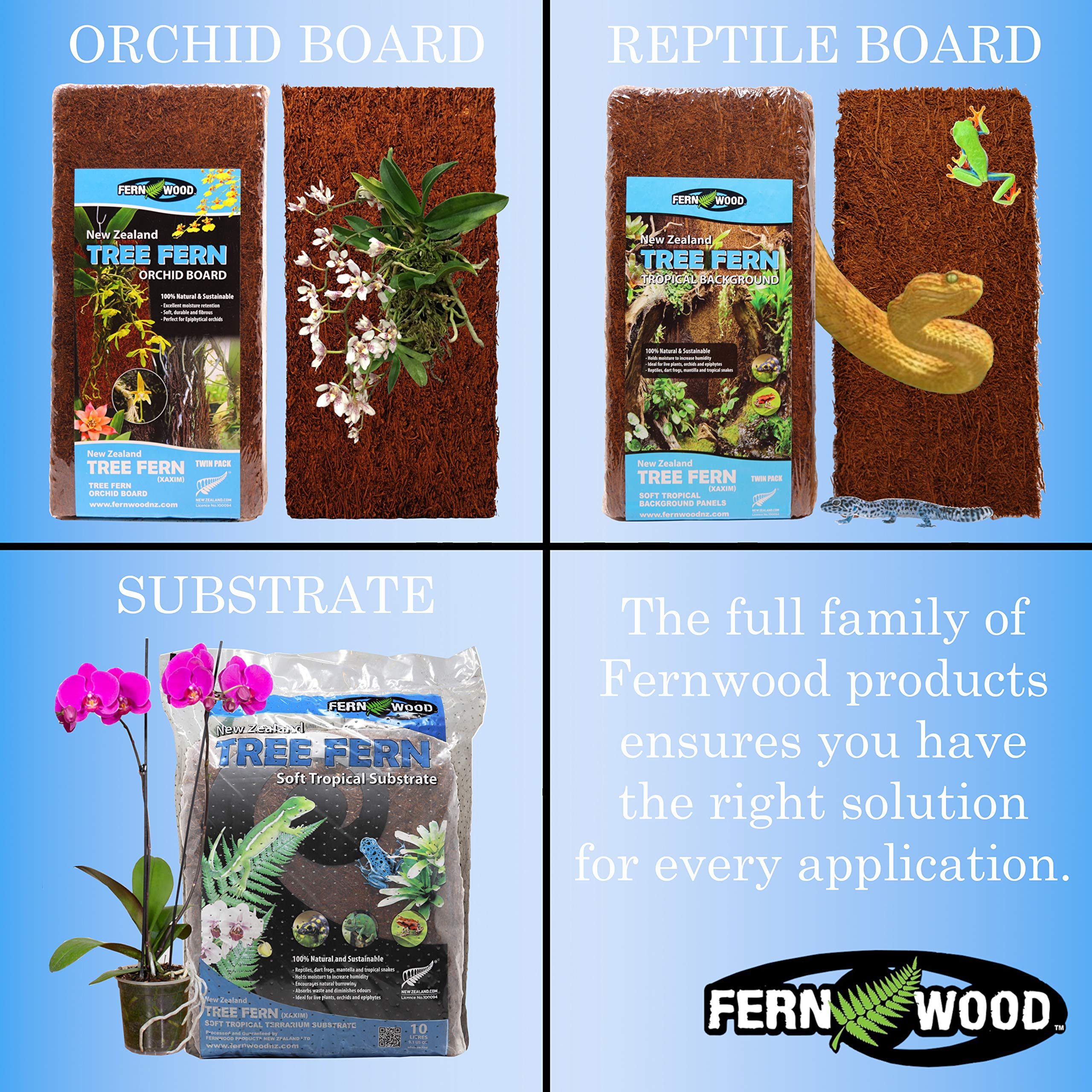 Fernwood Vivarium And Terrarium Background Panels- Made From New Zealand Tree Fern | Natural And Fibrous | For Reptile Tank Back
