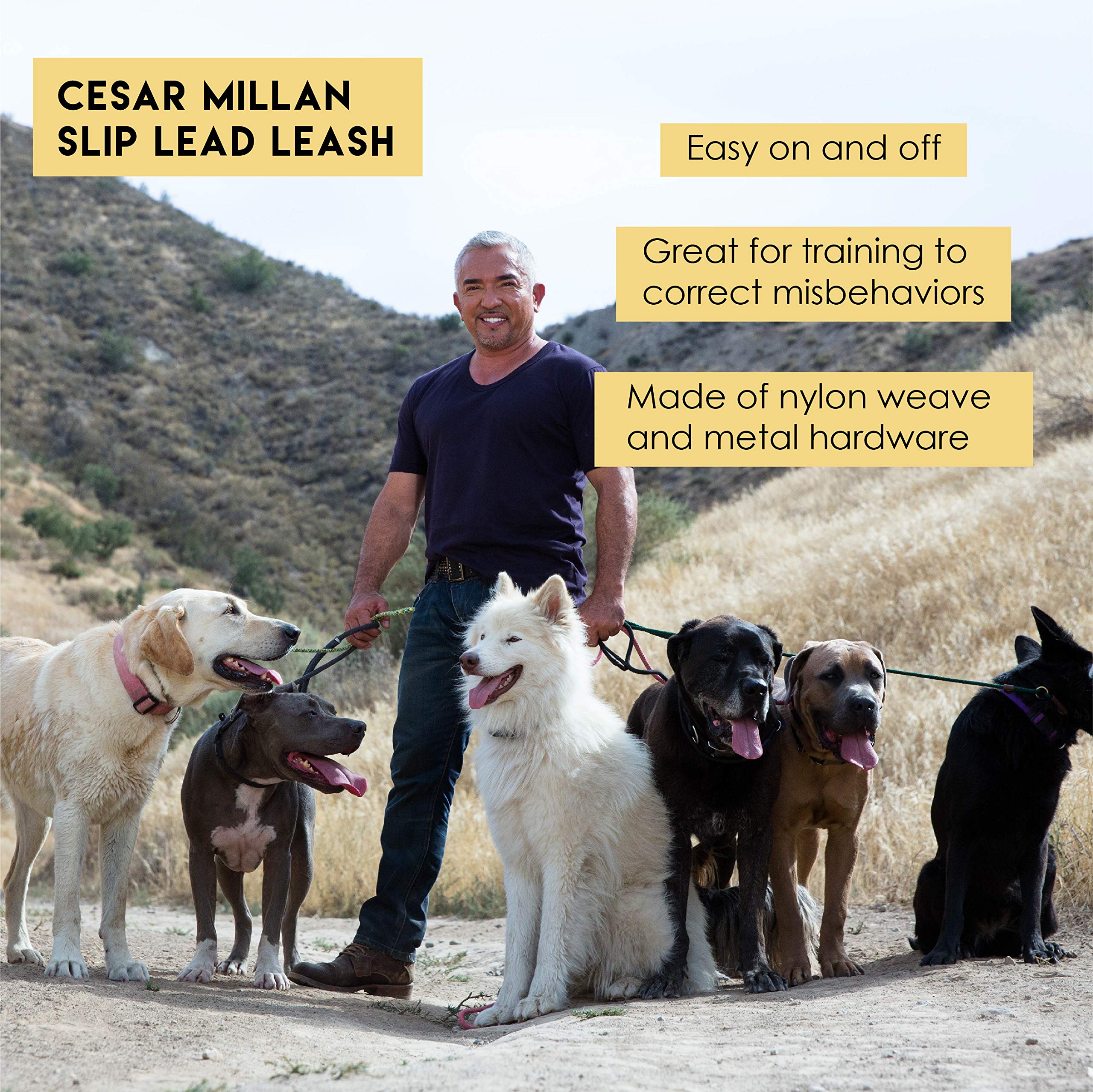 Cesar Millan Slip Lead Leash™ - 2-In-1 Slip Collar Dog Training Lead & Collar | Heavy Duty Durable Weatherproof Rope Leash, No Pull Training | Length 4Ft Diameter 4/10”(Regular, Black)