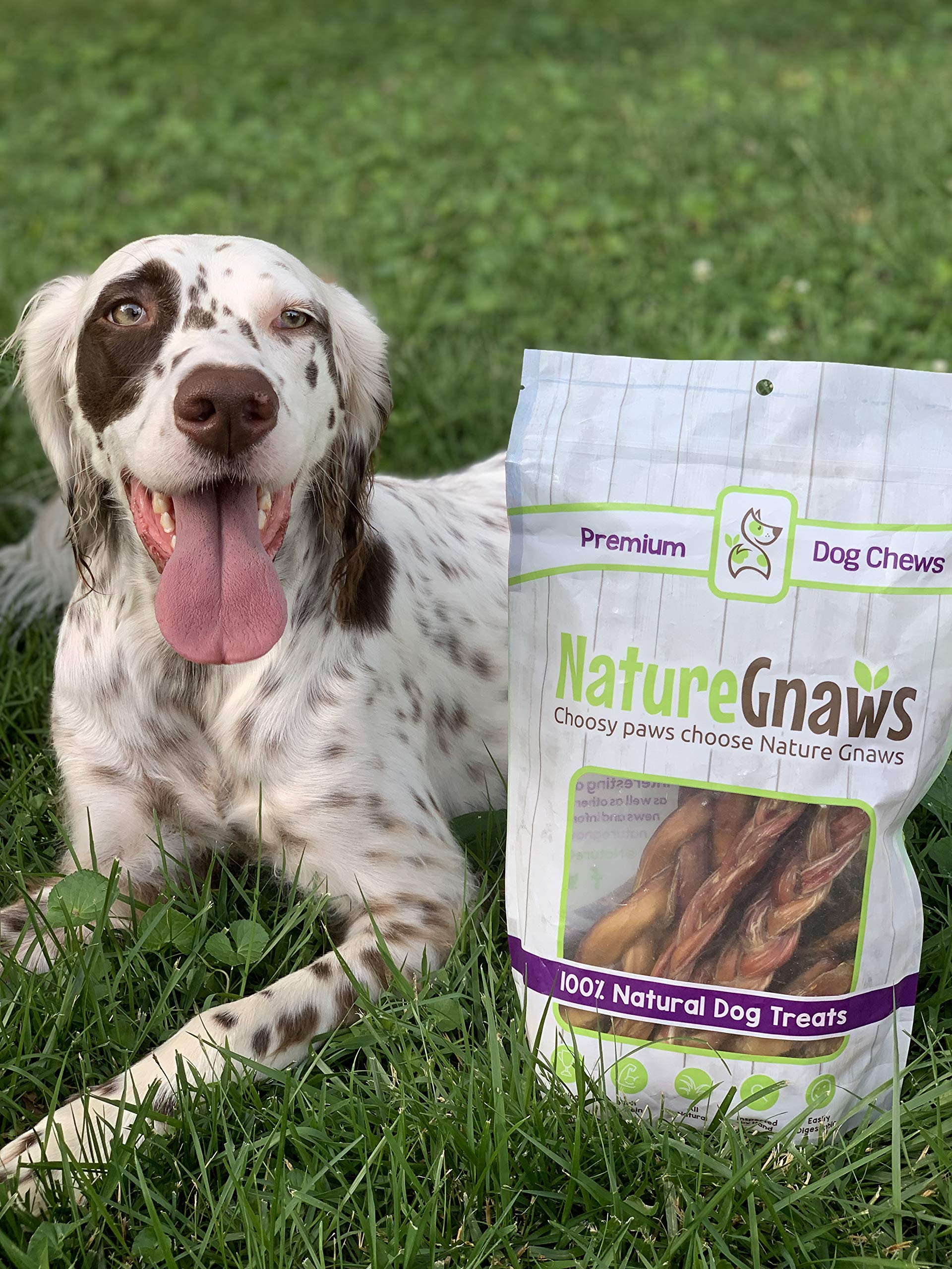 Nature Gnaws Variety Pack for Small Dogs (12 Count) - Bully Sticks, Beef Tendons and Tripe Twists for Dogs - Natural Long Lastin