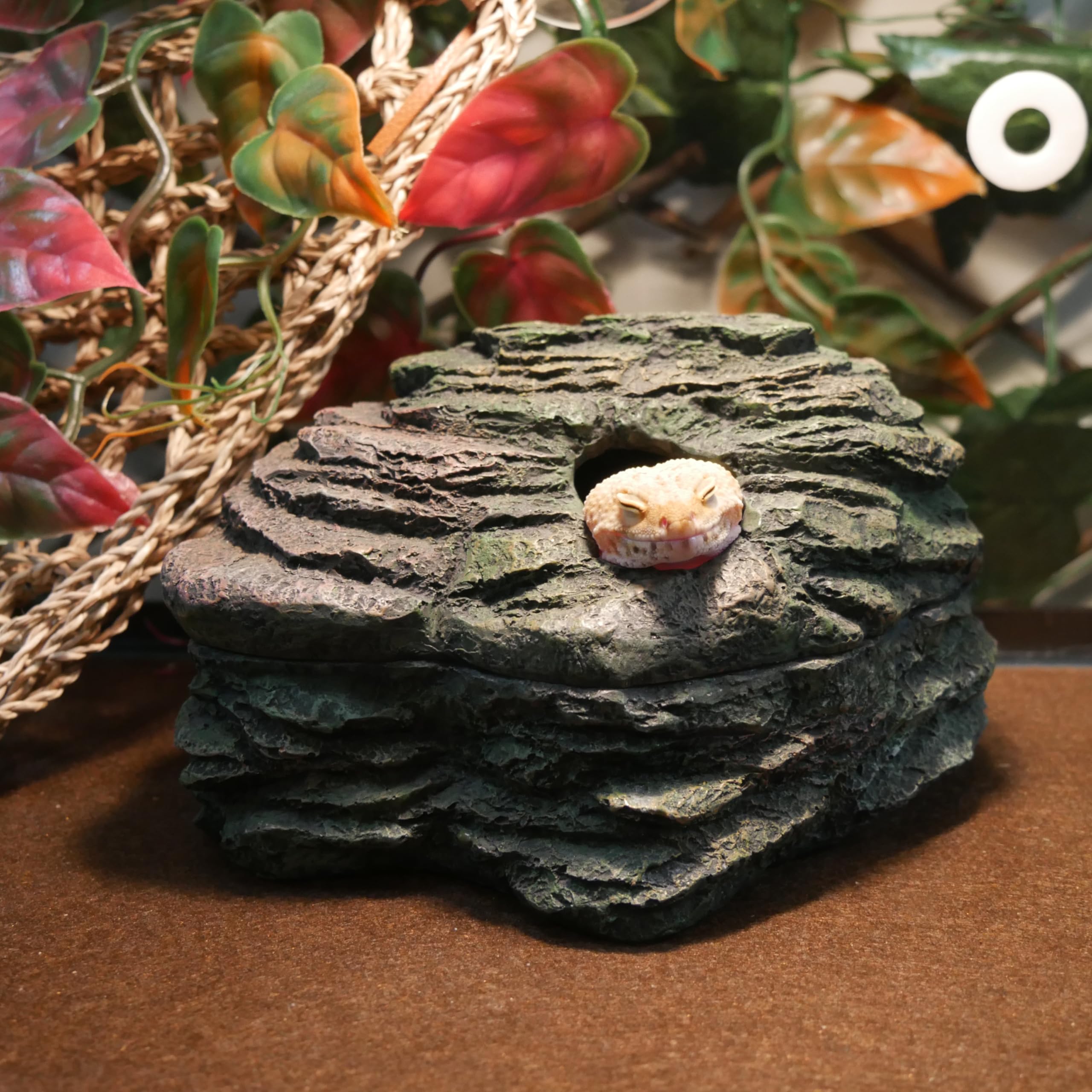 Penn-Plax Reptology Herp Haven Reptile Hide Away Rock Cave - For Terrariums And Aquariums - Great For Reptiles, Amphibians, And Fish – Medium