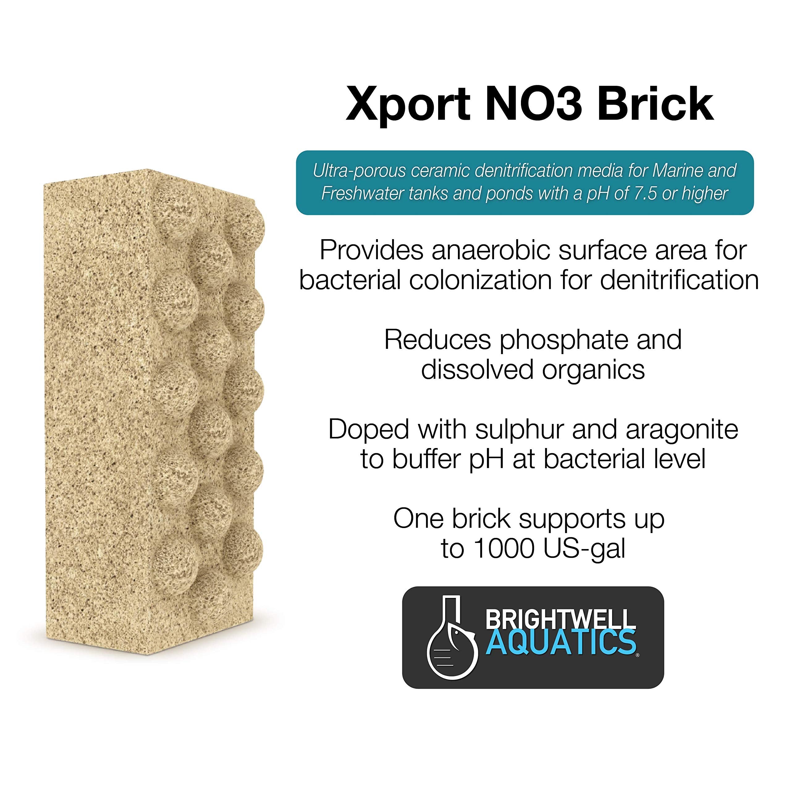 Brightwell Aquatics Xport NO3 Brick - Ultra-Activated Denitrification Media for Filtration, Model XPBRICNO3