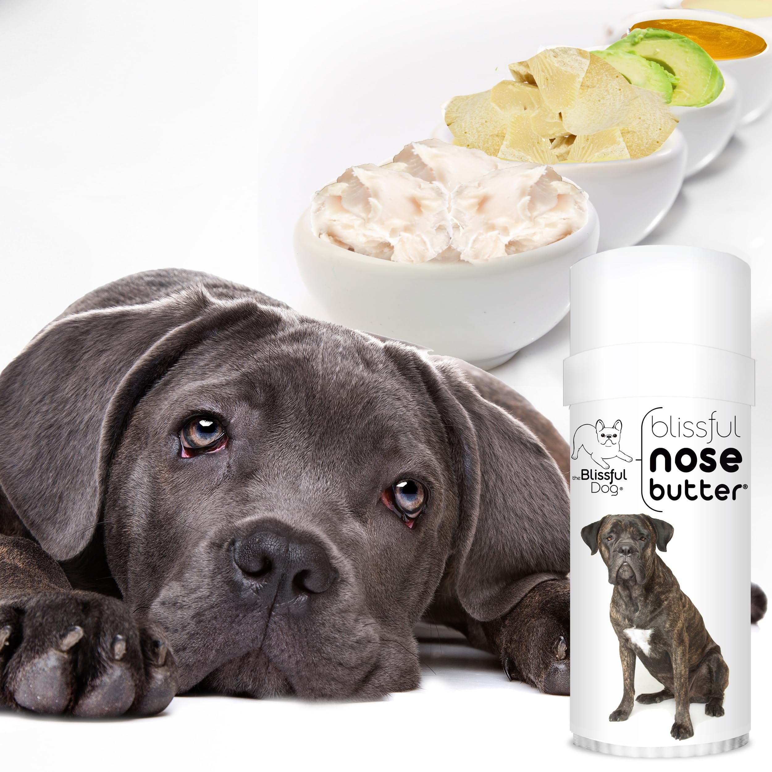 The Blissful Dog Cane Corso Nose Butter, Versatile Dog Nose Balm for Dry Nose, Handcrafted Nose Moisturizer, Easy-to-Apply Dog E