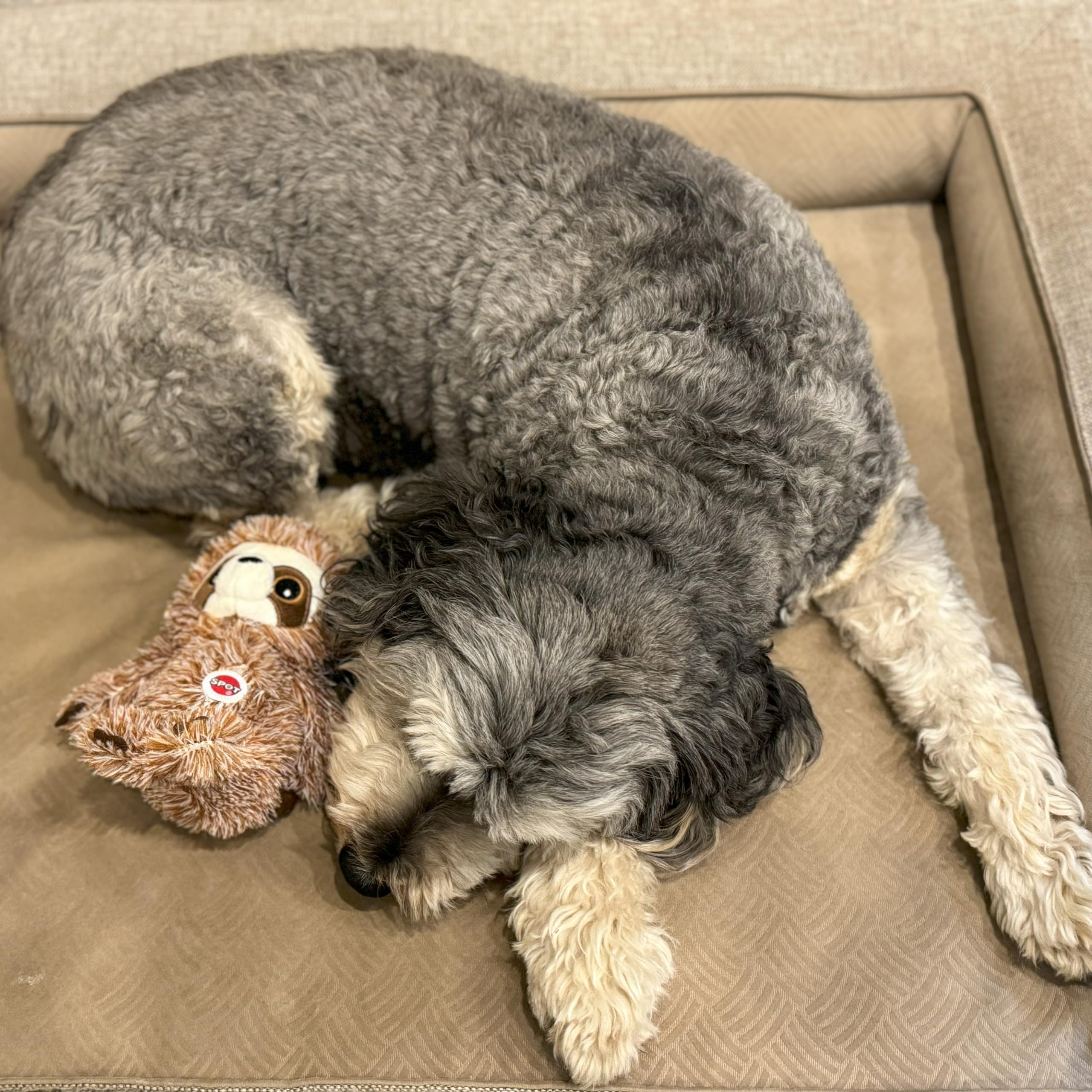 Spot Fun Sloth Dog Toy - Soft, Stuffed, Squeaky, Plush Fabric Toy For Mini And Small Dogs And Puppies, Enrichment For Light Chewers And Cuddlers, 7In