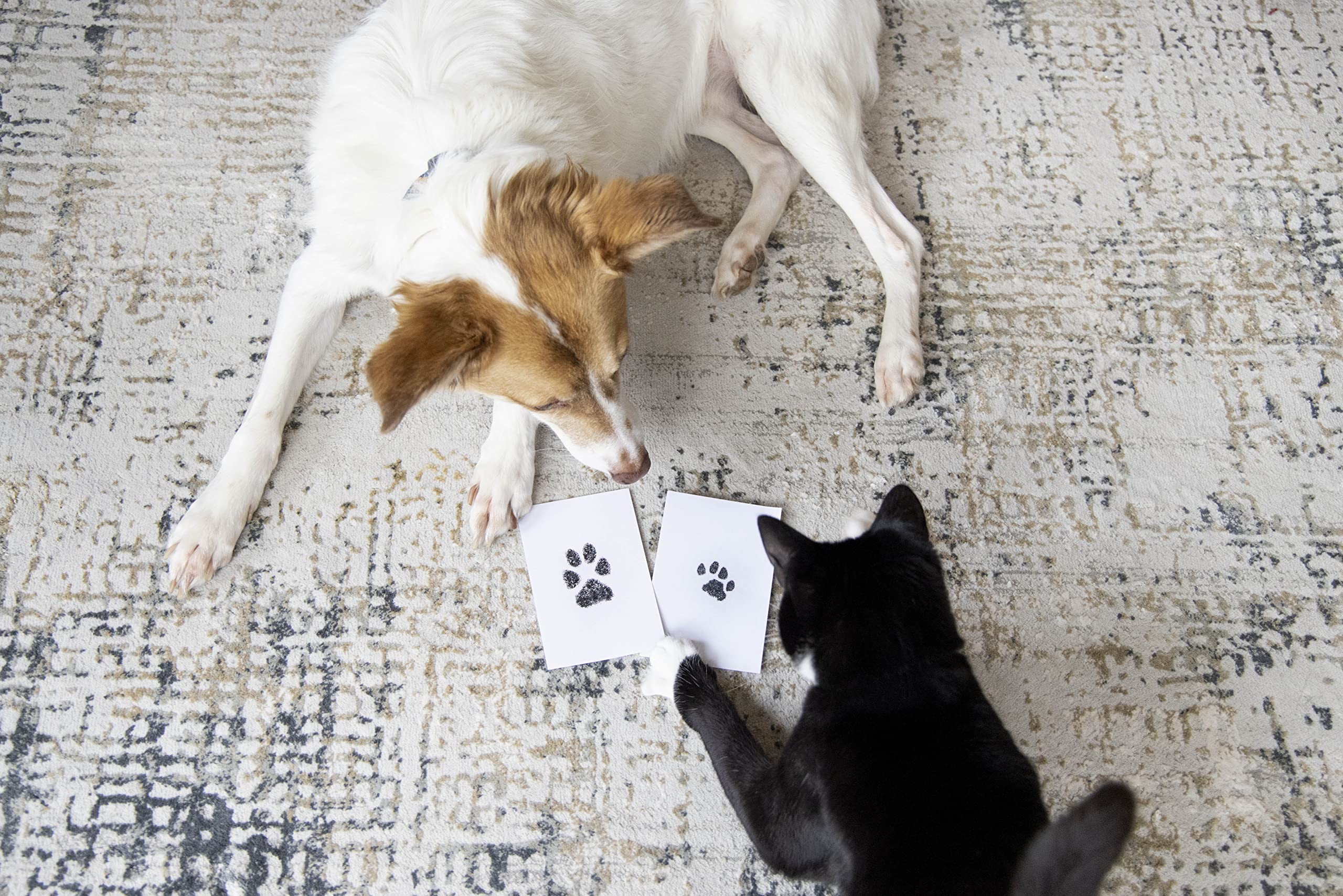 Pearhead 2-Pack Paw Print Clean-Touch Ink Pad, Cat Or Dog Pet Keepsake, Inkless Pawprint Impression Making Kit, Multi-Pack