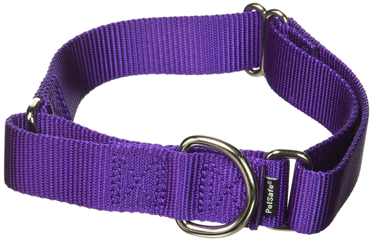 Petsafe Martingale Collar 1' Medium, Deep Purple