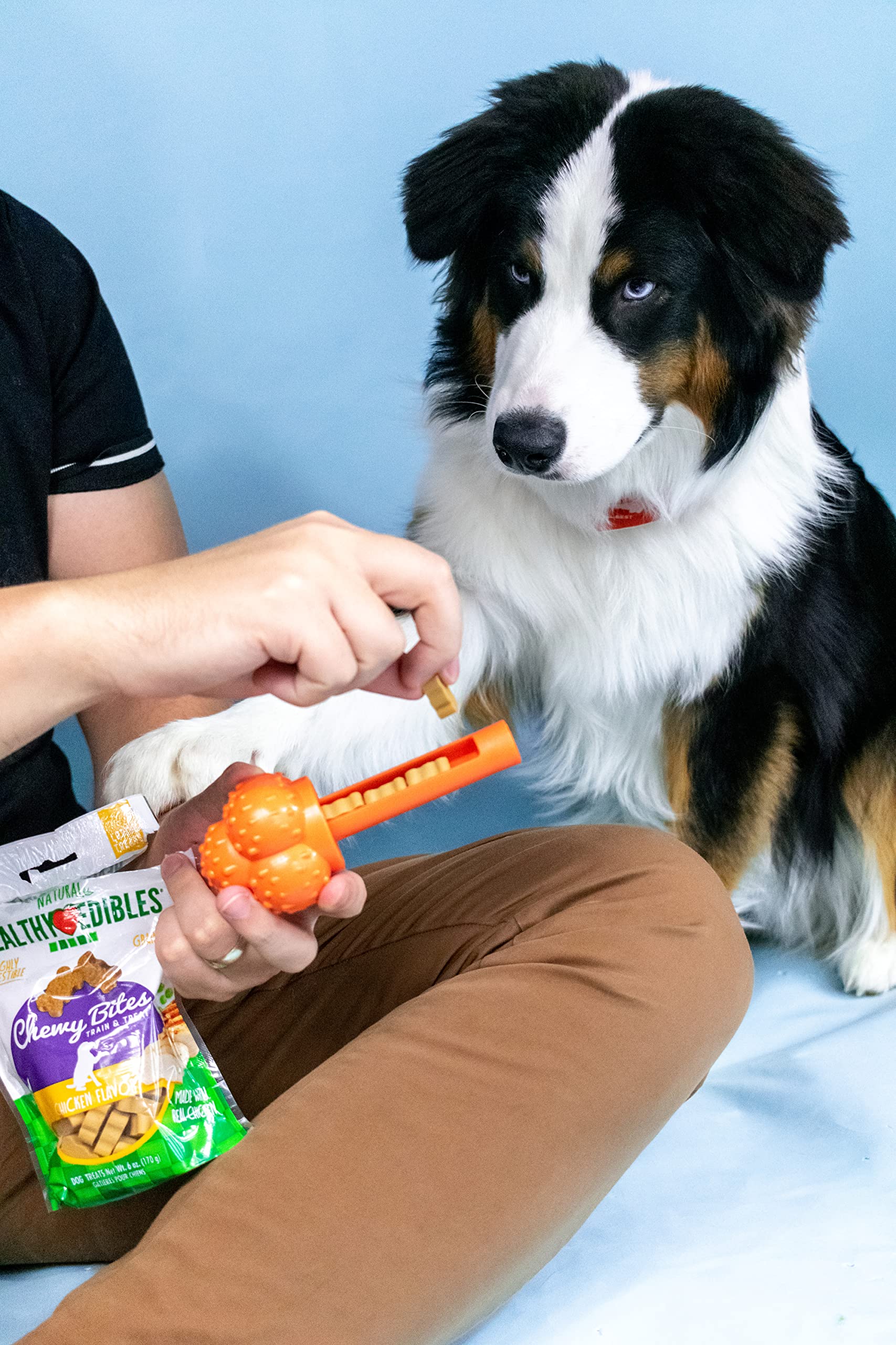 Nylabone Strong Chew Sneaky Snacker Treat Toy for Dogs, Interactive Dog Enrichment Chew Toys, Bacon Flavor, Large/Giant - Up to