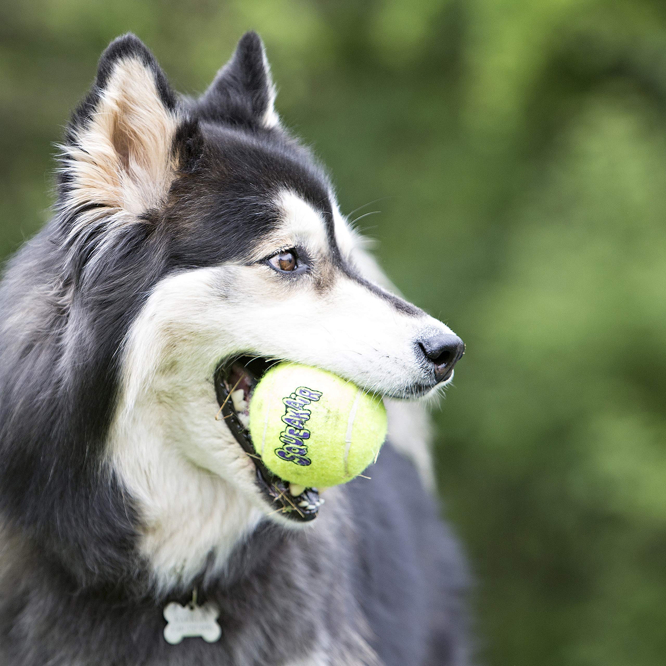 Kong Squeakair Dog Toy Tennis Ball - X-Small, Pack Of 3