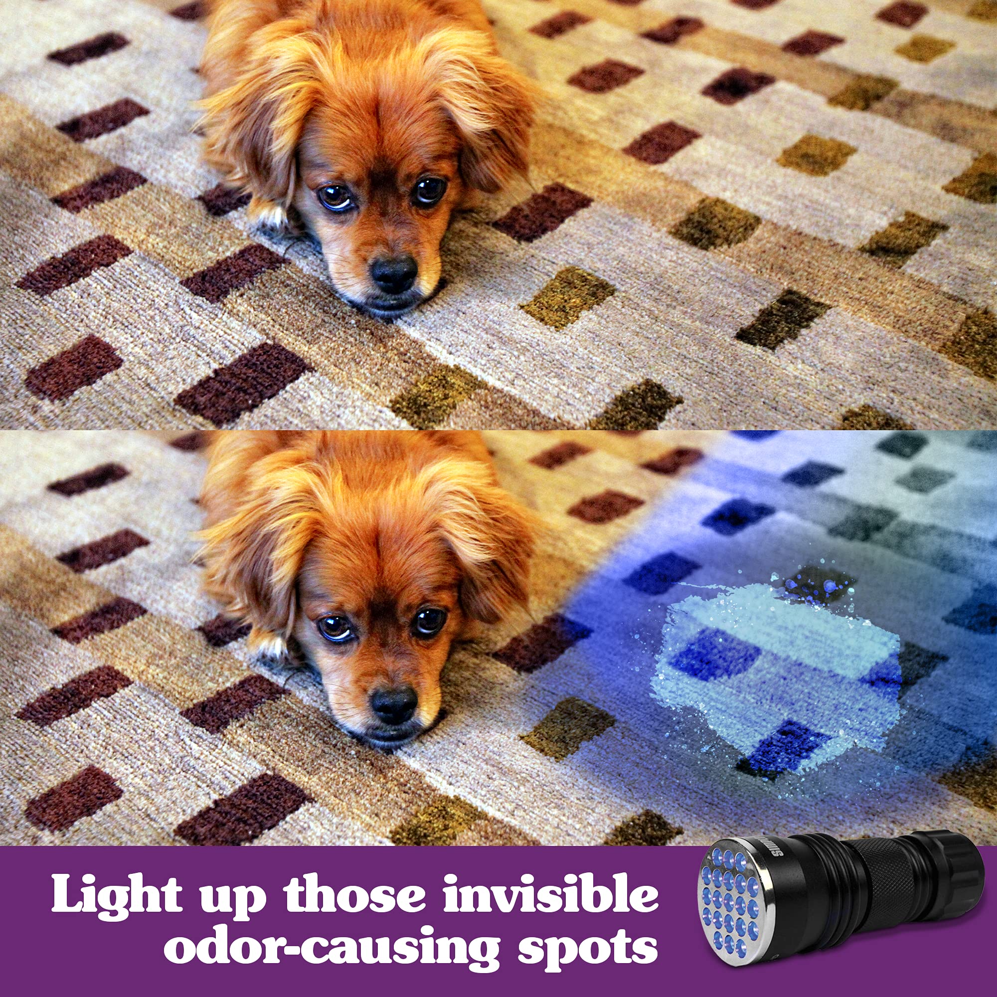 Simple Solution Spot Spotter HD UV LED Urine Detector | Spot and Eliminate Pet Urine Stains and Odors | 1 Light