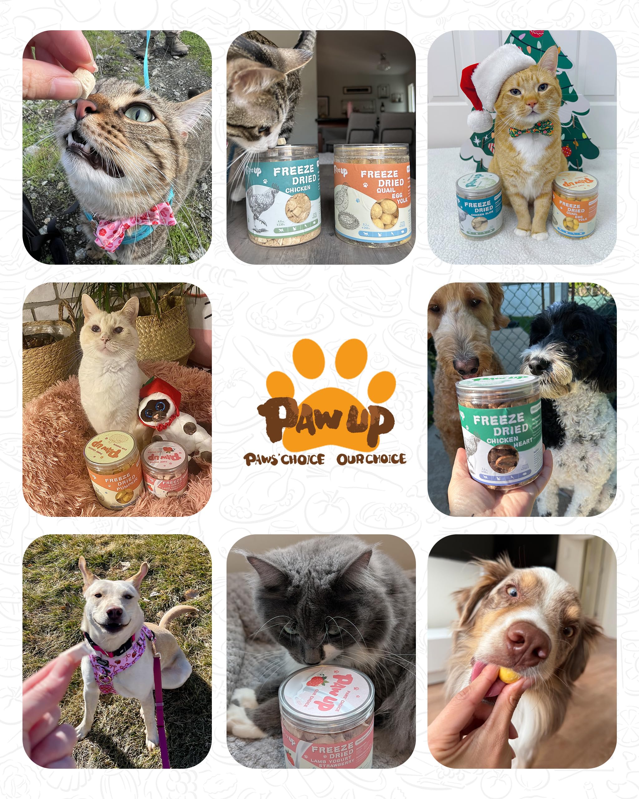 PAWUP Freeze Dried Quail Egg Yolk Pet Treats, Freeze-Dried Pet Food for Dogs, Cats, Pure Fresh Ingredient, 4.2 oz, Rawhide Free,