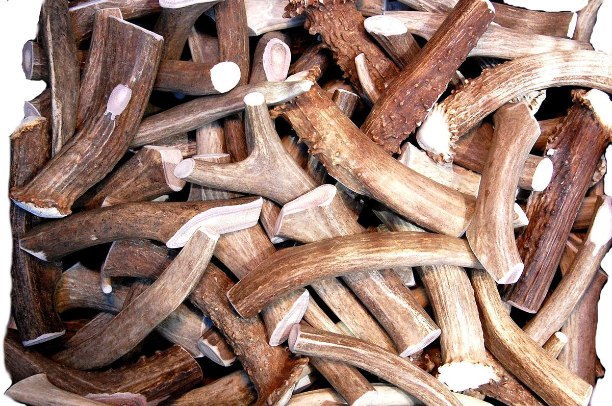 Premium Deer Antler Pieces - Dog Chews - Antlers By The Pound, One Pound - Six Inches Or Longer - Medium, Large And Xl - Happy Dog Guarantee!