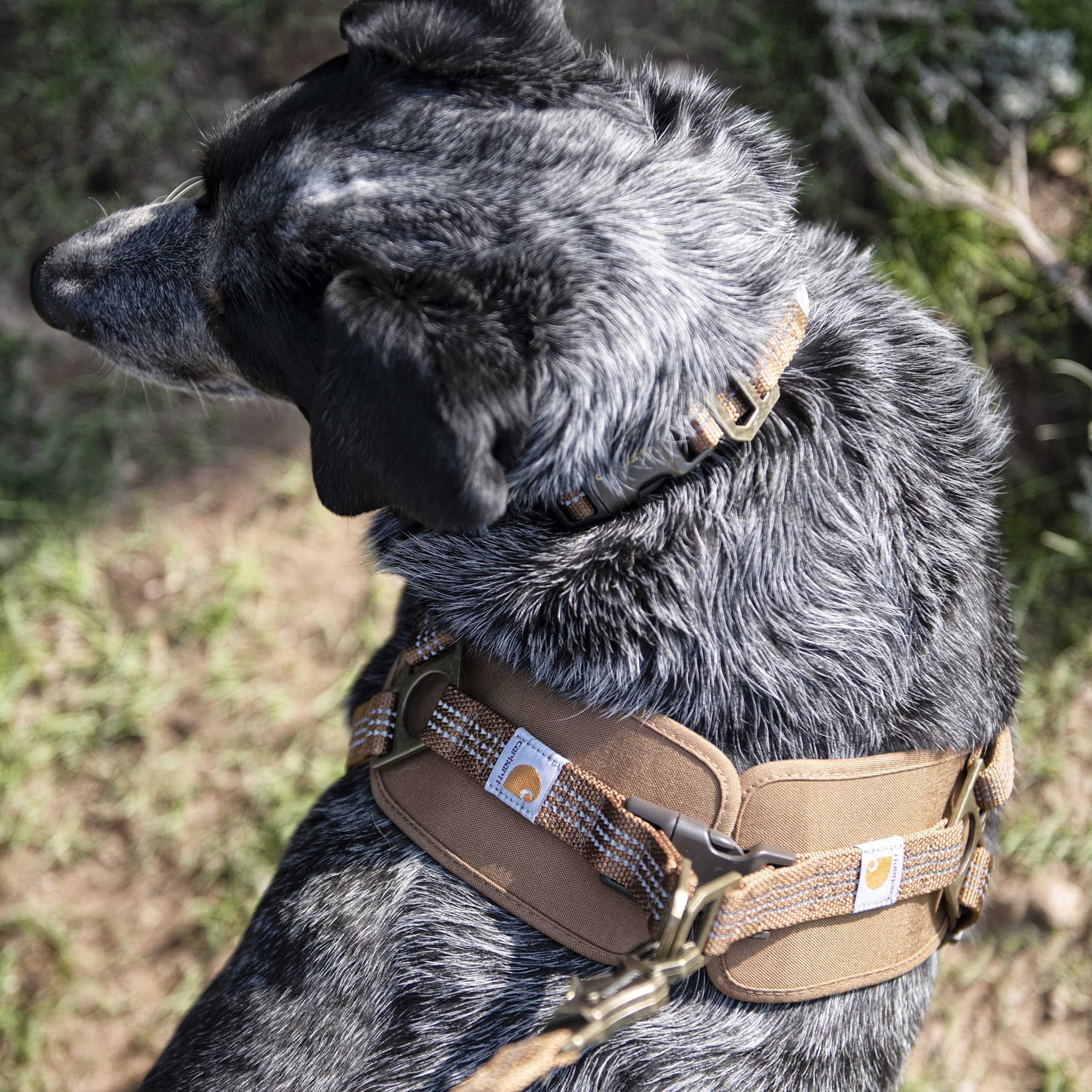 Carhartt Nylon Duck Training Dog Harness - Medium, Carhartt Brown, Durable Design for Active Dogs