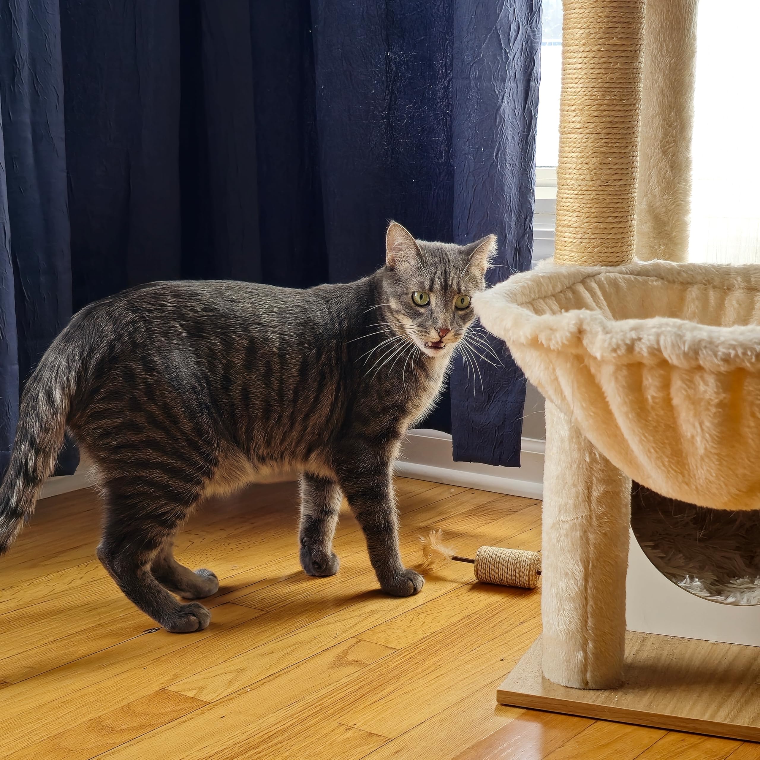 Spot Naturals Silver Vine Cat Toy ?Natural Interactive Enrichment For Cats, Stimulates Play And Reduces Stress, Durable And Safe, Perfect For Indoor Cats And Kittens, Assorted Styles, 1 Piece