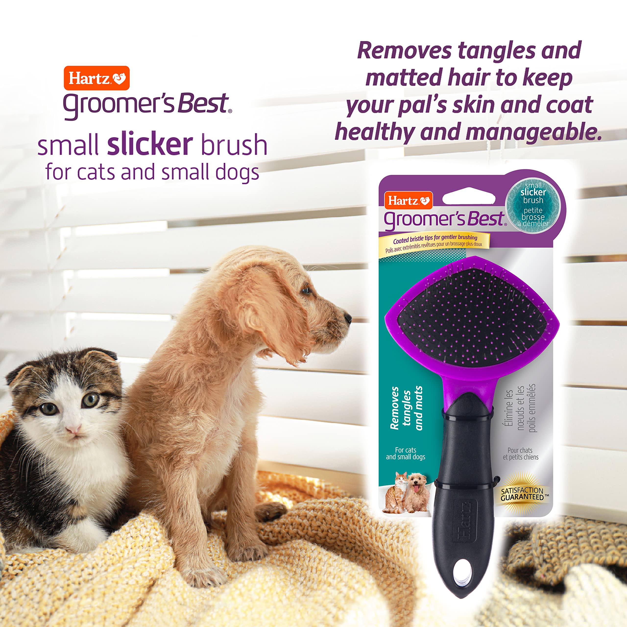 Hartz Groomer's Best Small Slicker Brush for Cats & Small Dogs, 1 Count, Black/Violet - Ideal for Grooming and Removing Loose Fur