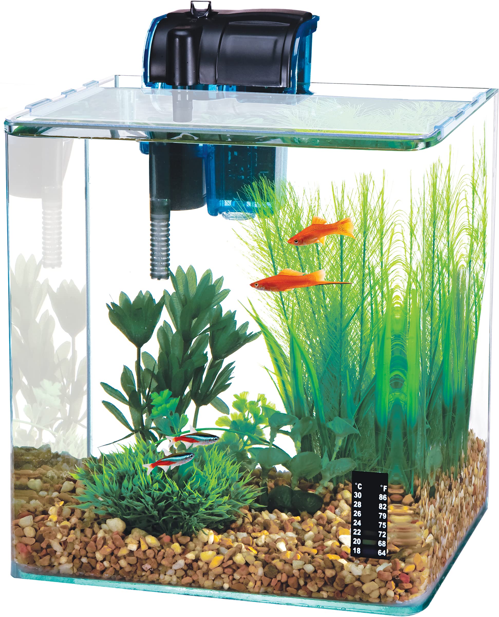 Penn-Plax Water-World Vertex Desktop Aquarium Kit - Perfect For Shrimp & Small Fish - 5 Gallon Tank