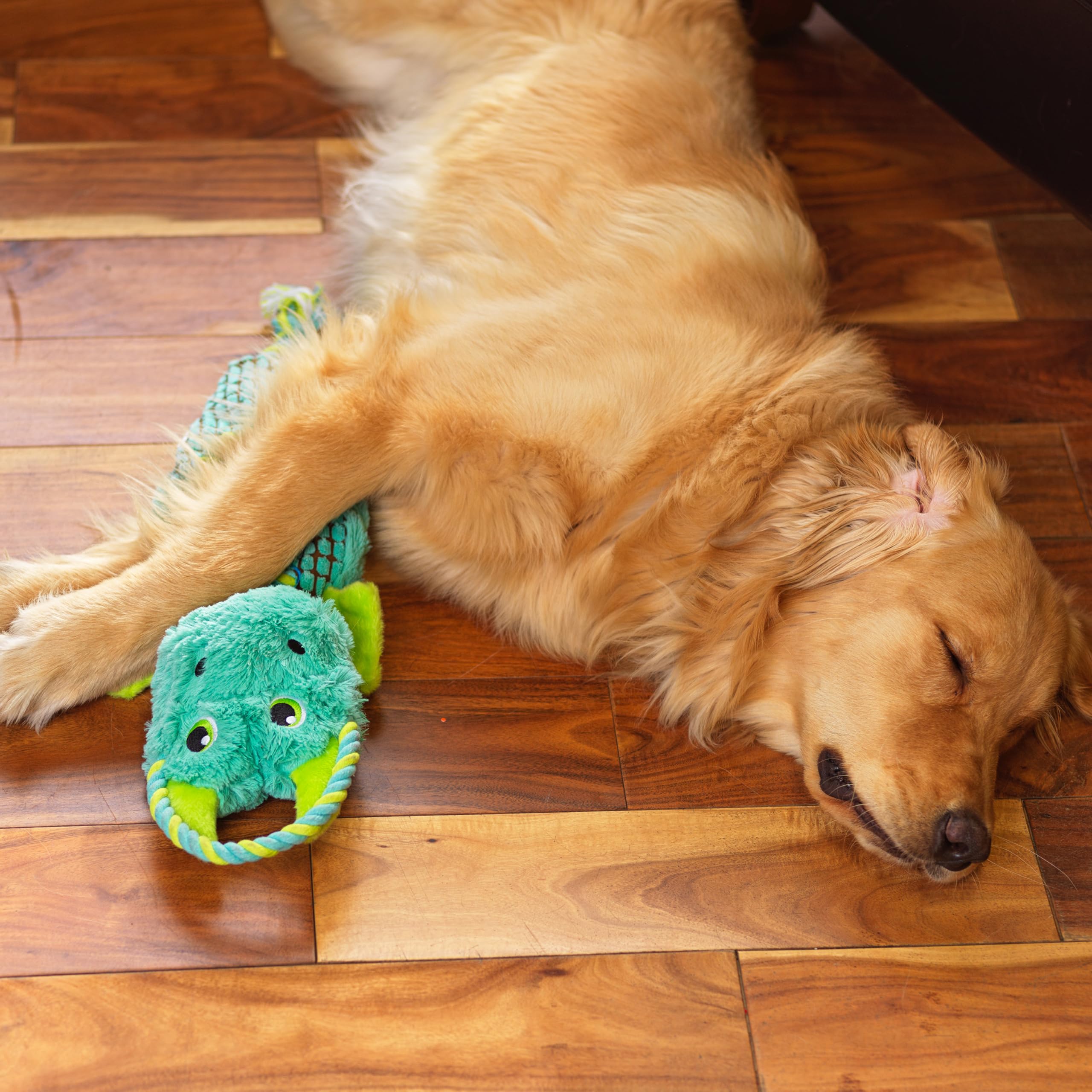 Outward Hound Ropiez Rope Interactive Dog Tug Toy For Tugging Squeaky Fun, Dragon, Multicolored, Large