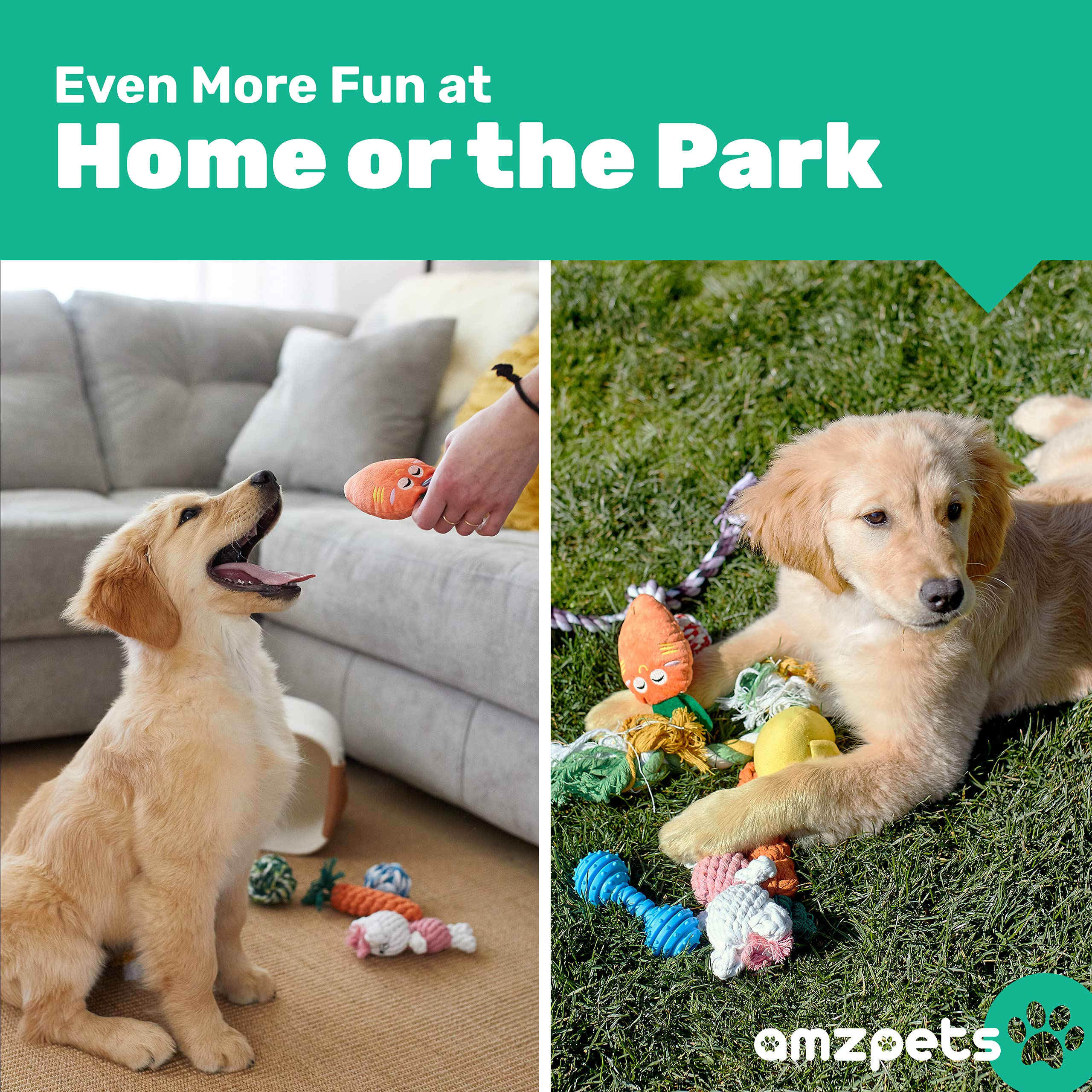 Amzpets 10 Dog Toys For Small Dogs And Puppies, Squeaky Dog Toys Rope Toys For Plush Games, With Chewing Ropes/Balls/Rubber Bone