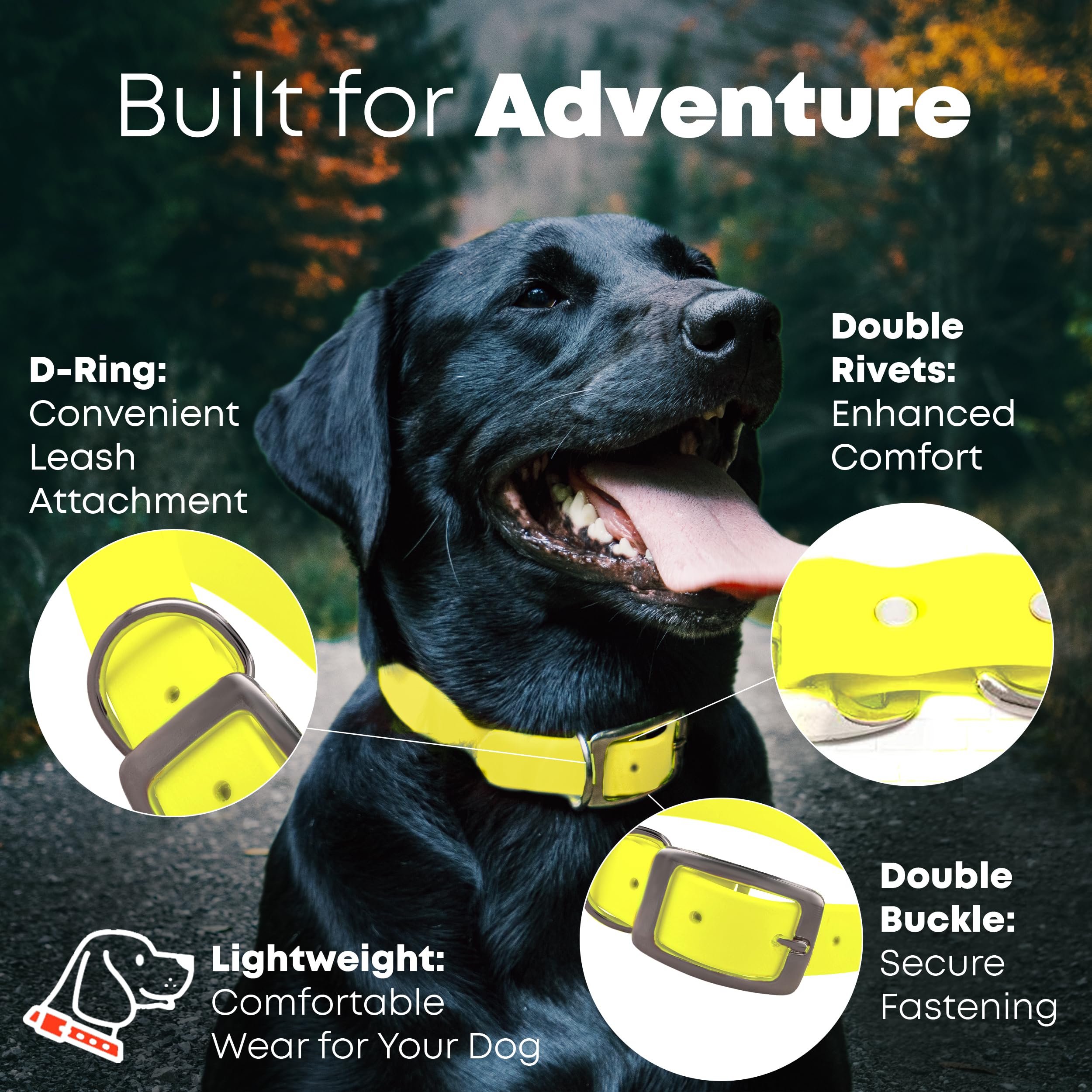 Regal Dog Products Medium Yellow Waterproof Dog Collar And Leash Set - Vinyl Coated Biothane Pet Training Collar With Heavy Duty