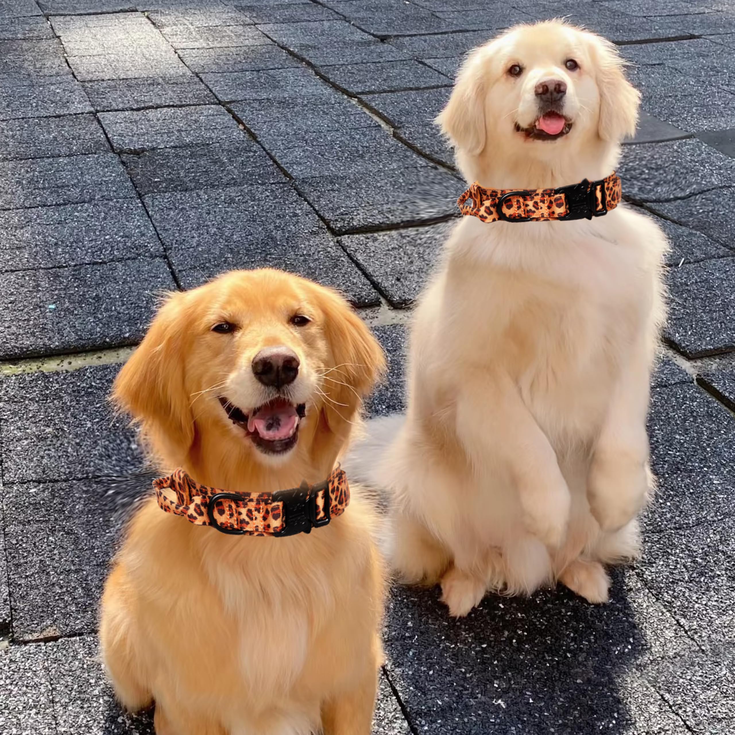 Tactical Nylon Dog Collar - Adjustable, Heavy Duty Metal Buckle With Handle For Training (Leopard, M)