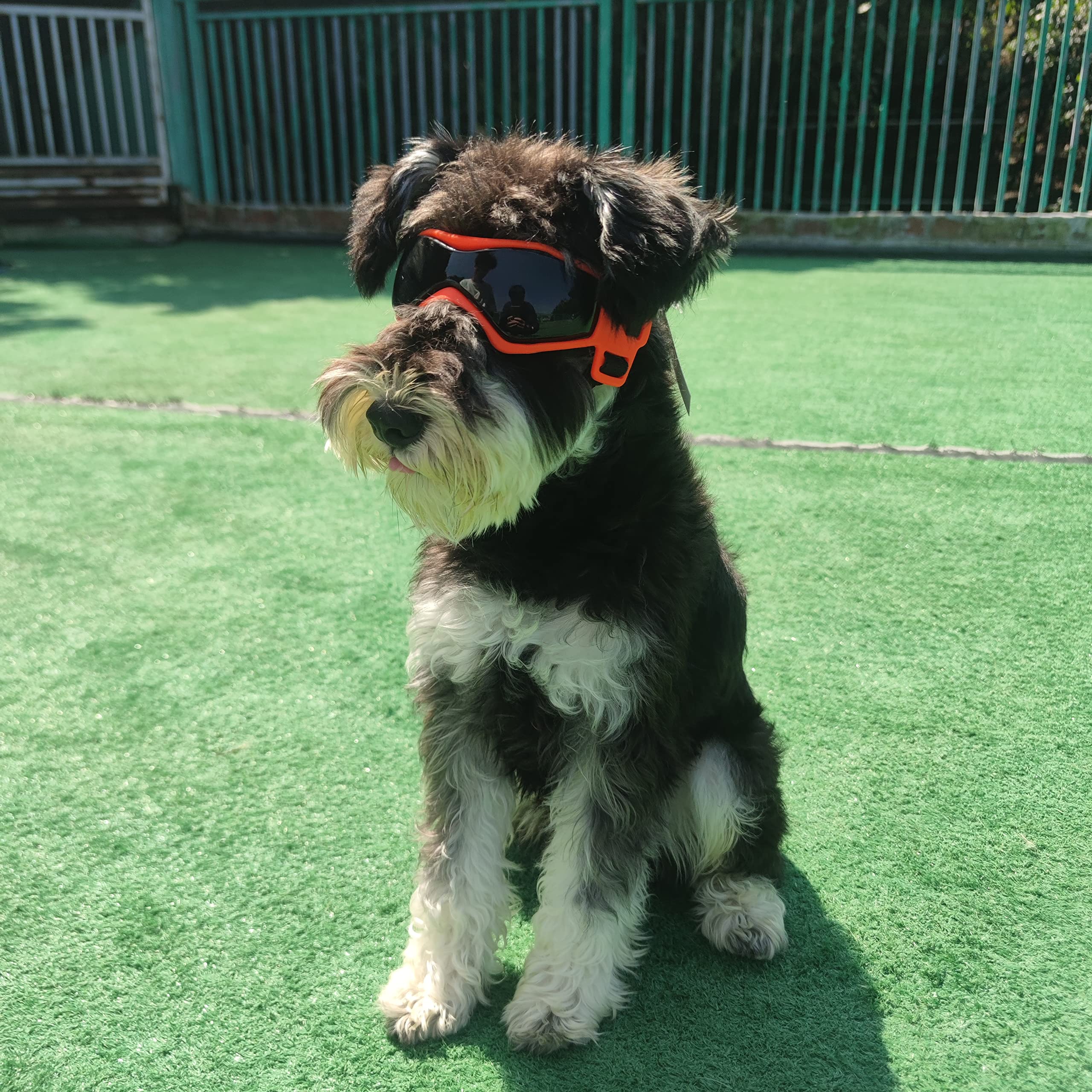 Petleso Dog Goggles Small Breed, Uv Protection Dog Sunglasses Medium Breed Dog Goggles For Medium Dog Outdoor Riding Driving, Medium Orange