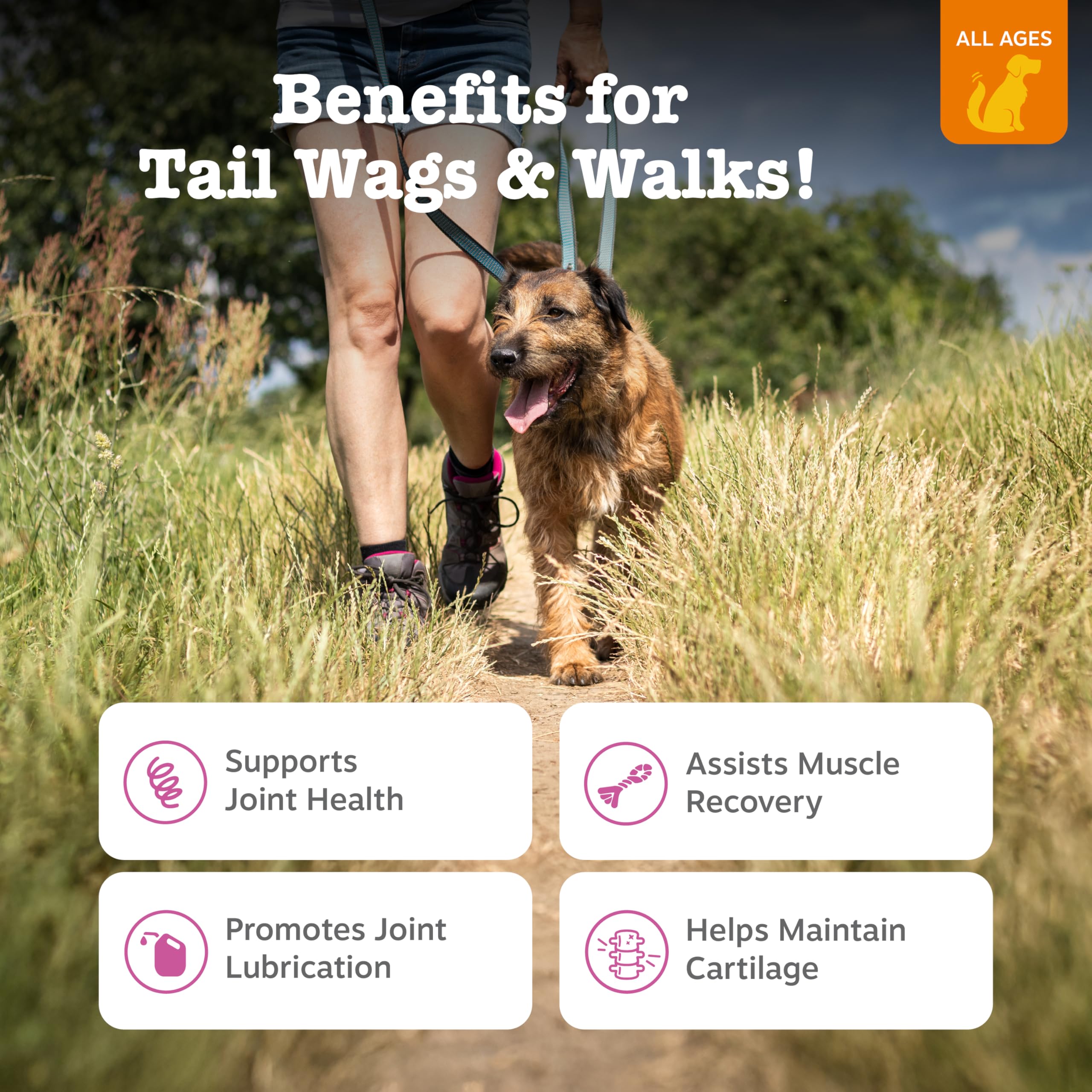Zesty Paws Hip and Joint Supplement for Dogs - Glucosamine with Chondroitin, MSM, Vitamins C and E Dog Joint Relief - Mobility B