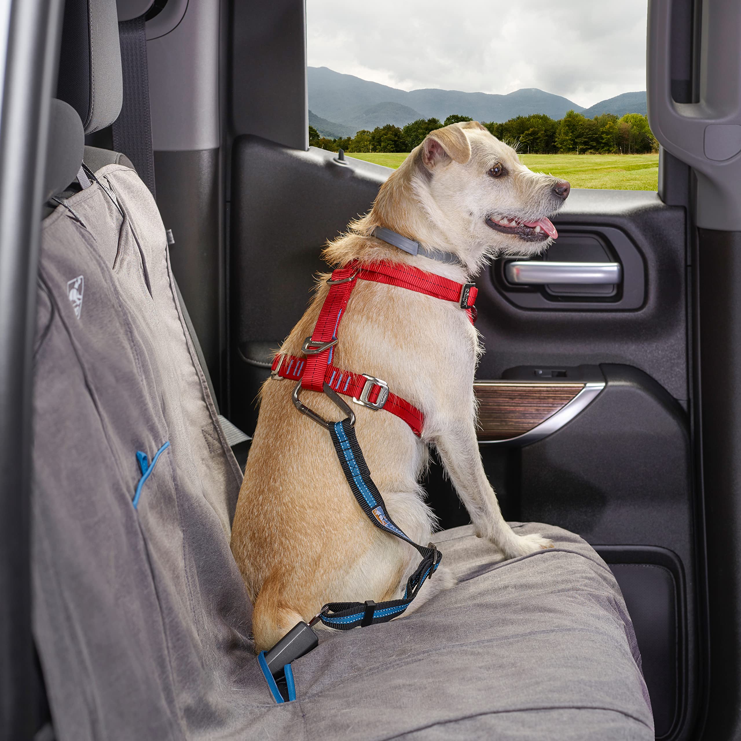 Kurgo Direct To Seatbelt Tether For Dogs, Dog Seat Belt For Car, Adjustable Dog Safety Belt Leash, Quick & Easy Installation, Works With Any Pet Harness, (Carabiner Clip, Coastal Blue)