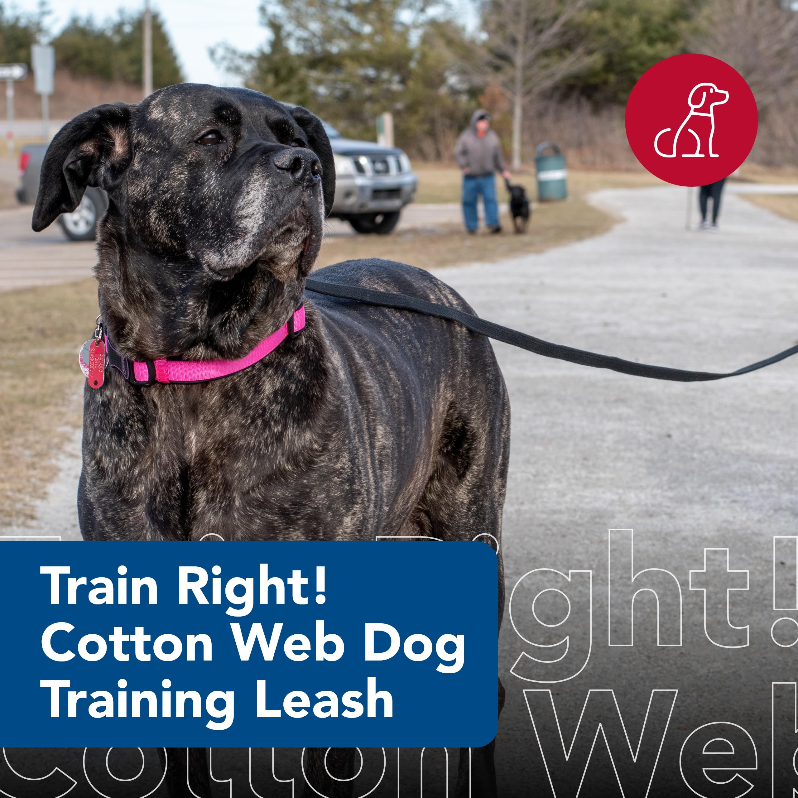 Coastal Cotton Web Training Dog Leash Red 20 ft.