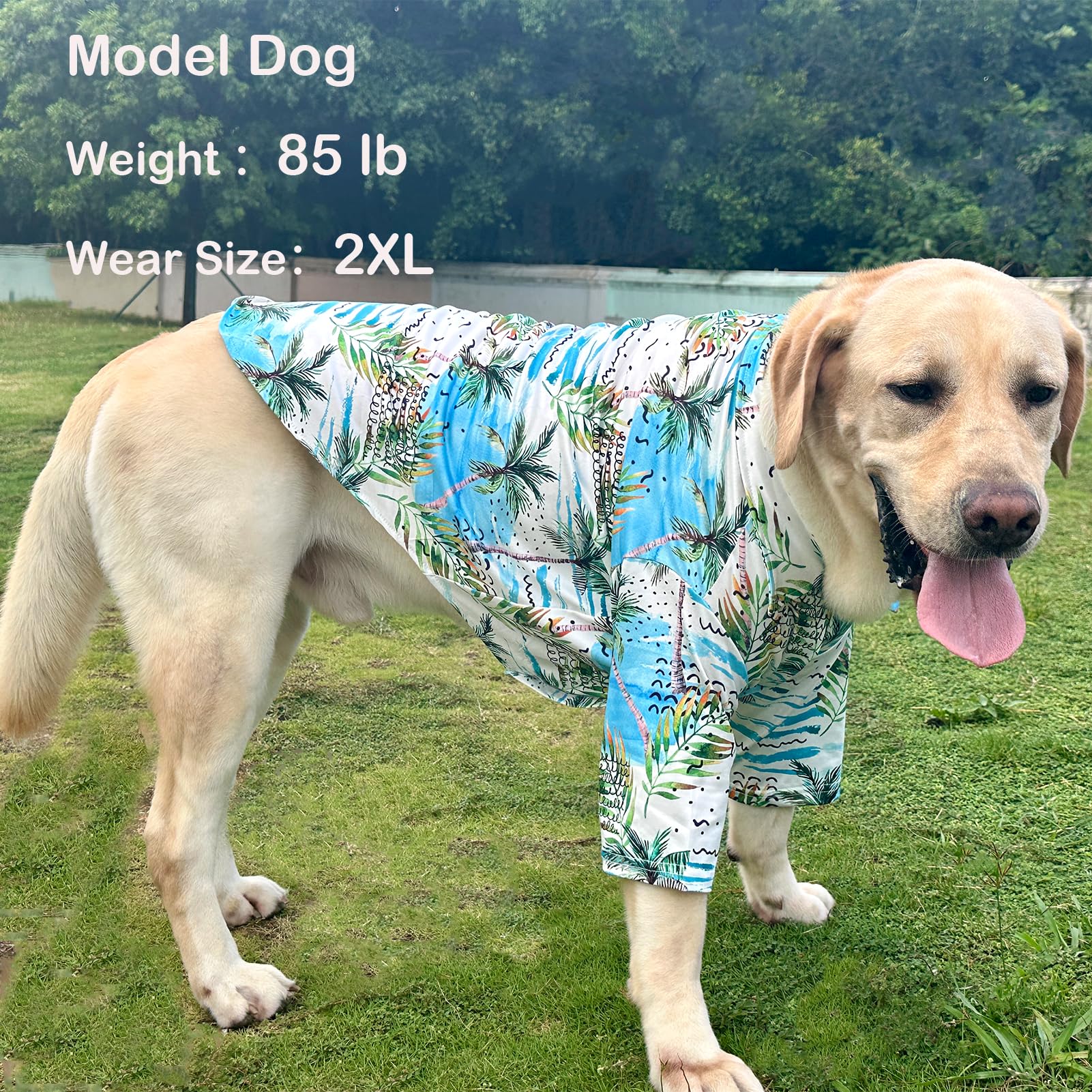 Pripre Hawaii Shirt For Dogs - Seabeach Prints Polo T-Shirt, Breathable Cool Beach Style Summer Clothes For Boys And Girls (Larg