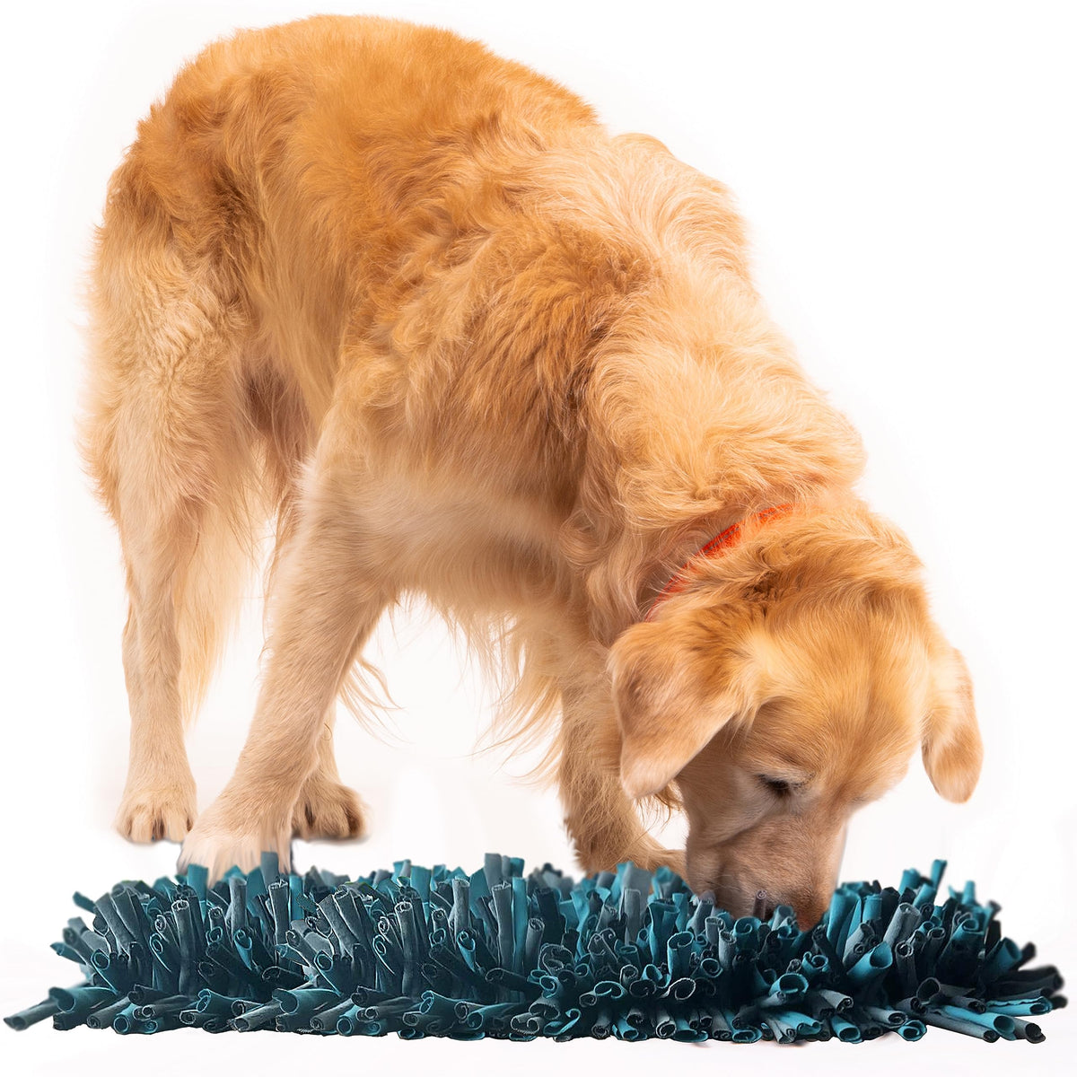 Paw 5 Snuffle Mat - Interactive Dog Toys For All-Sized Dogs 11'X17' - Slow Feeding, Smell Training, Reduces Boredom & Anxiety