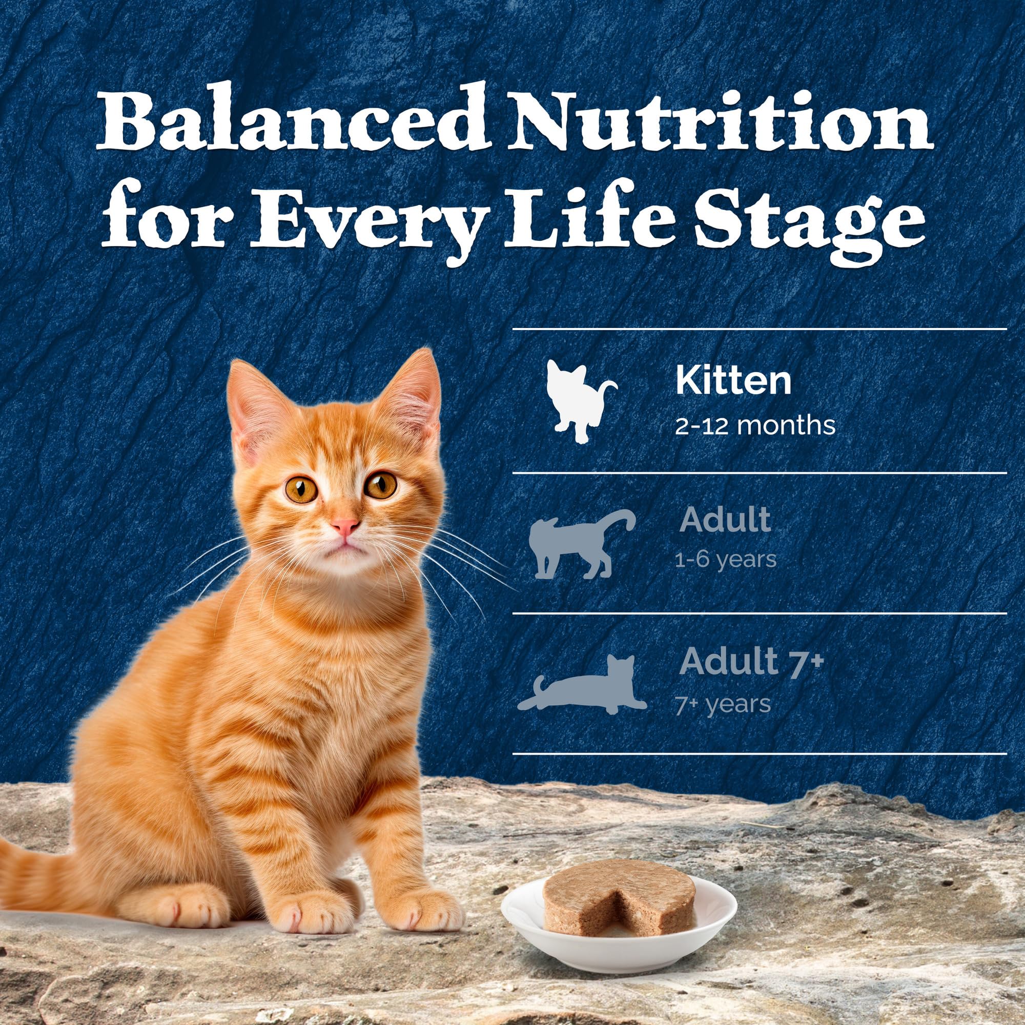 Blue Buffalo Wilderness High-Protein Grain-Free Wet Kitten Food, Chicken Pat   Recipe, 3-oz Cans, 24-Count