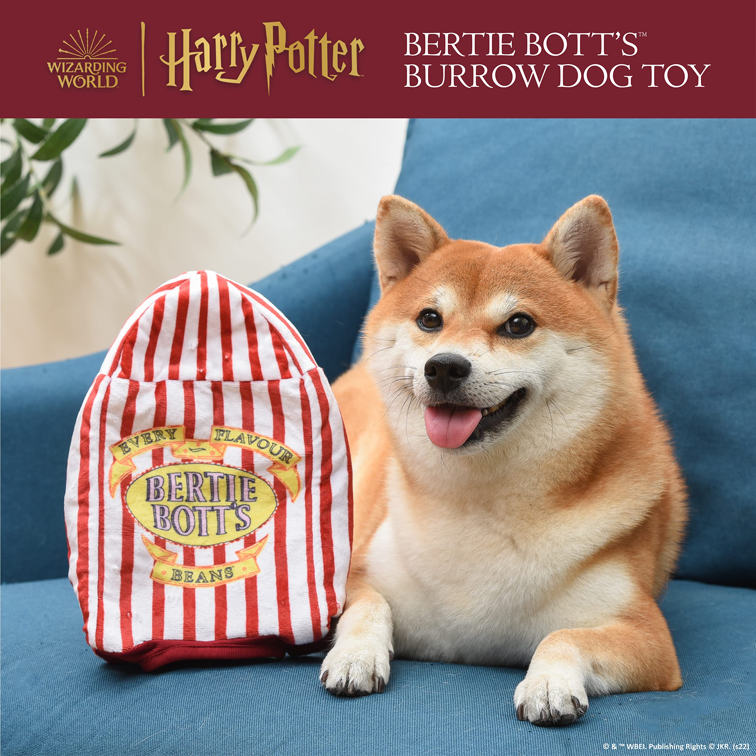 Harry Potter 10 Inch Bertie Botts Jelly Bean Plush Dog Toy | Colorful Dog Toy with Jelly Beans for Playtime Fun
