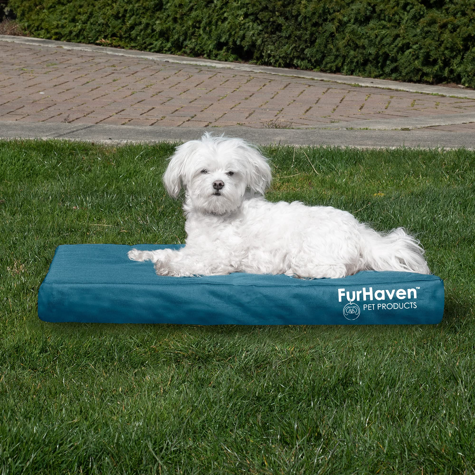 Furhaven Water-Resistant Orthopedic Dog Bed for Medium/Small Dogs w/ Removable Washable Cover, For Dogs Up to 35 lbs - Indoor/Ou