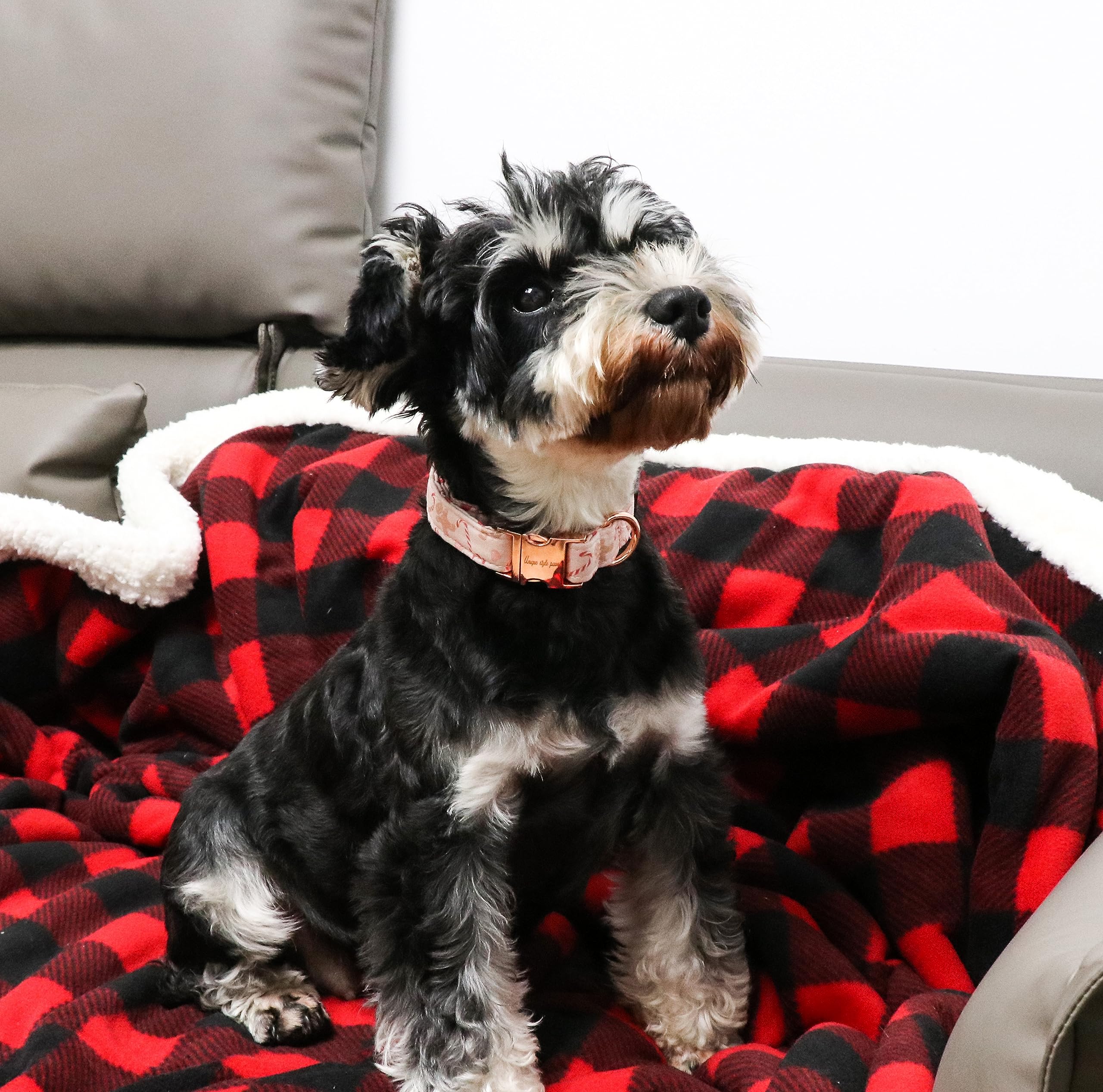 Unique Style Paws Christmas Dog Collar Metal Buckle Pink Gingerbread Puppy Collar Gift Durable Cute Collar For Small Medium Larg