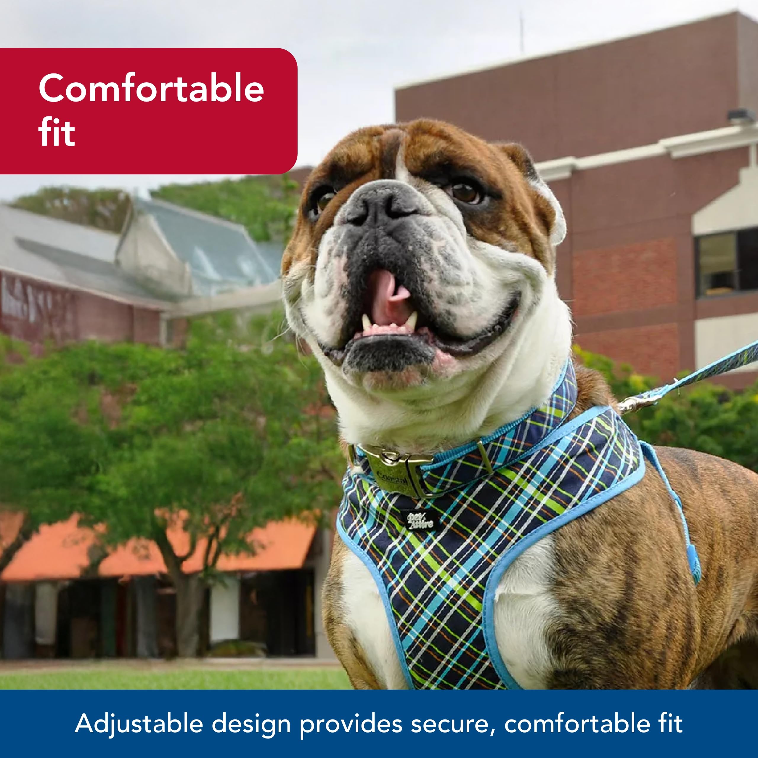 Coastal Pet - Ribbon - Adjustable Dog Collar With Metal Buckle, Brown Paws And Bones, 1' X 18'-26'