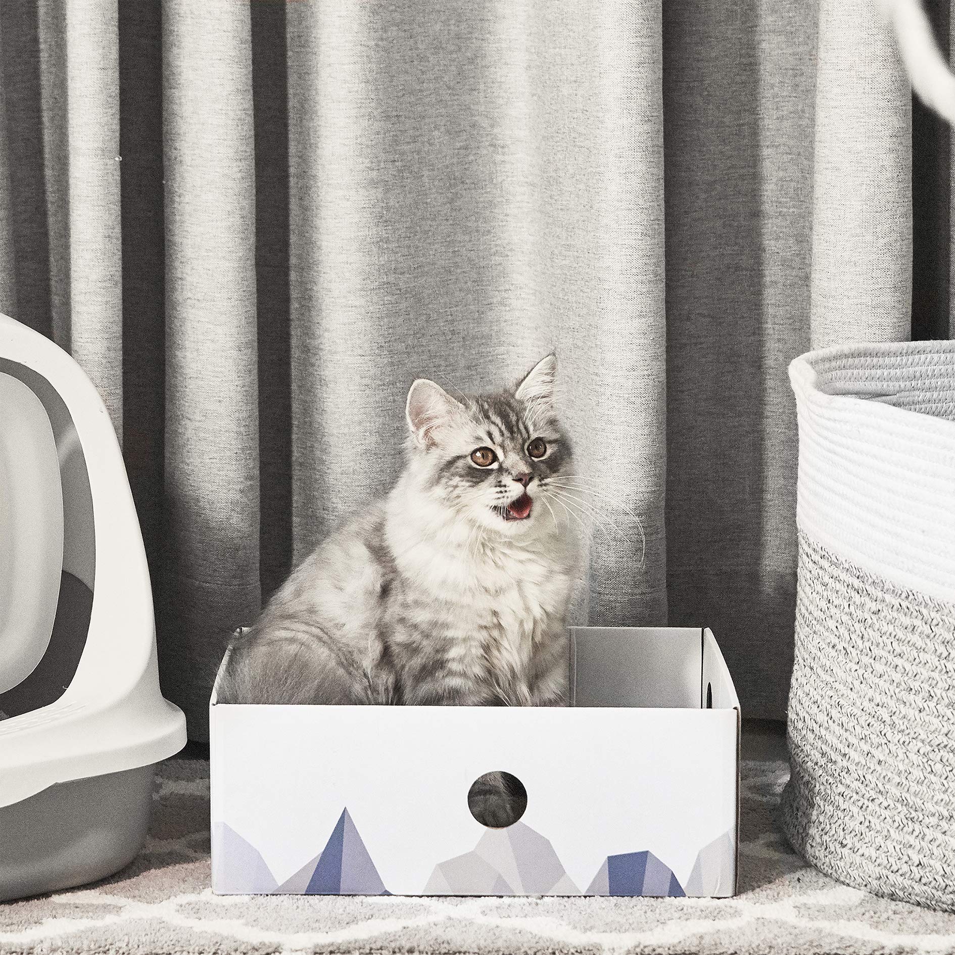 Conlun Cat Scratcher Box With Cat Scratching Pad Portable 3-Layer Corrugated Cardboard Lounger Heavy-Duty Double-Sided Cardboard Cat Scratcher And Interactive Hole Design White (Medium)