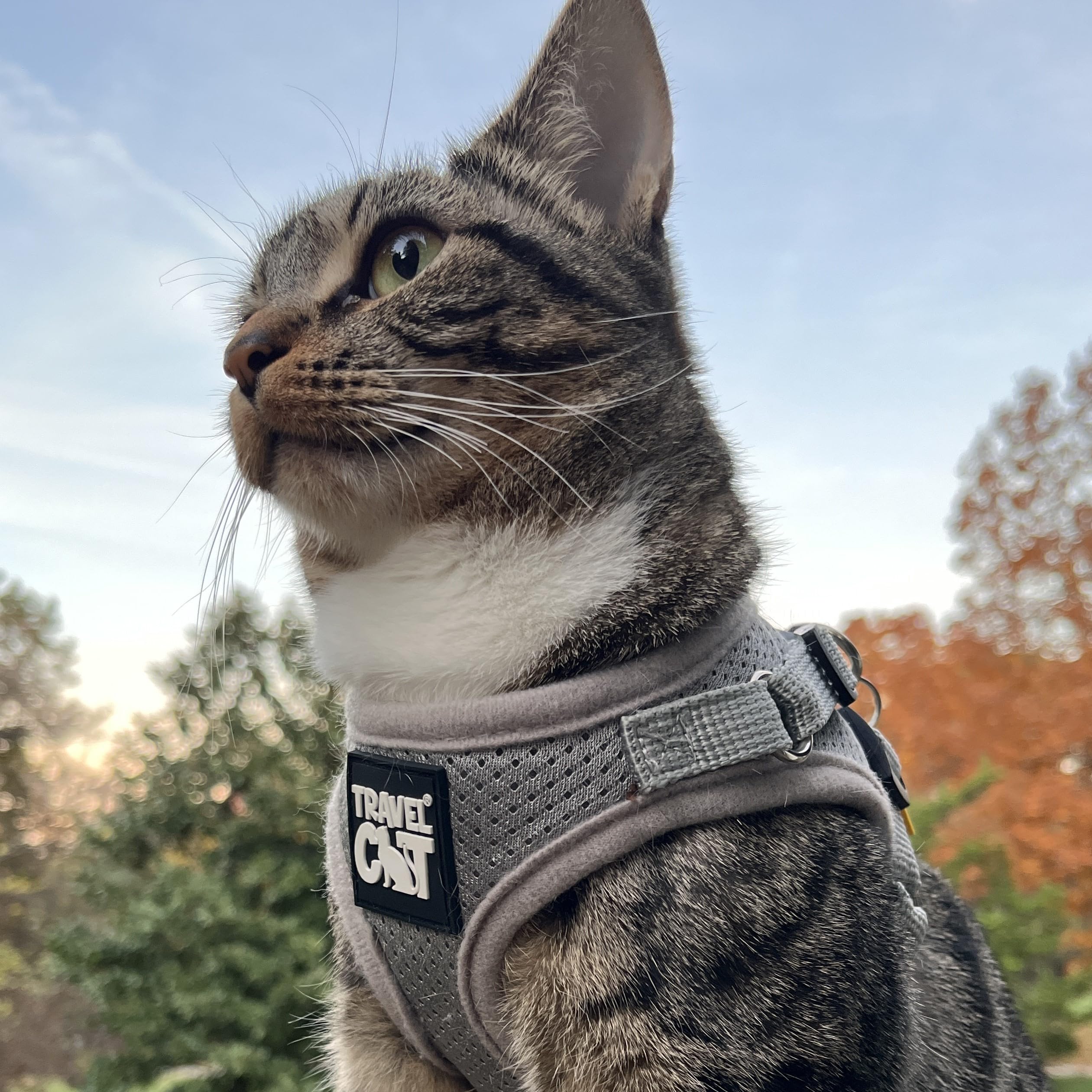 Travel Cat Harness And Leash Set - Adjustable Fit Mesh Cat Harness And Reflective Strap - Comfort Escape Proof Harness For Cats,