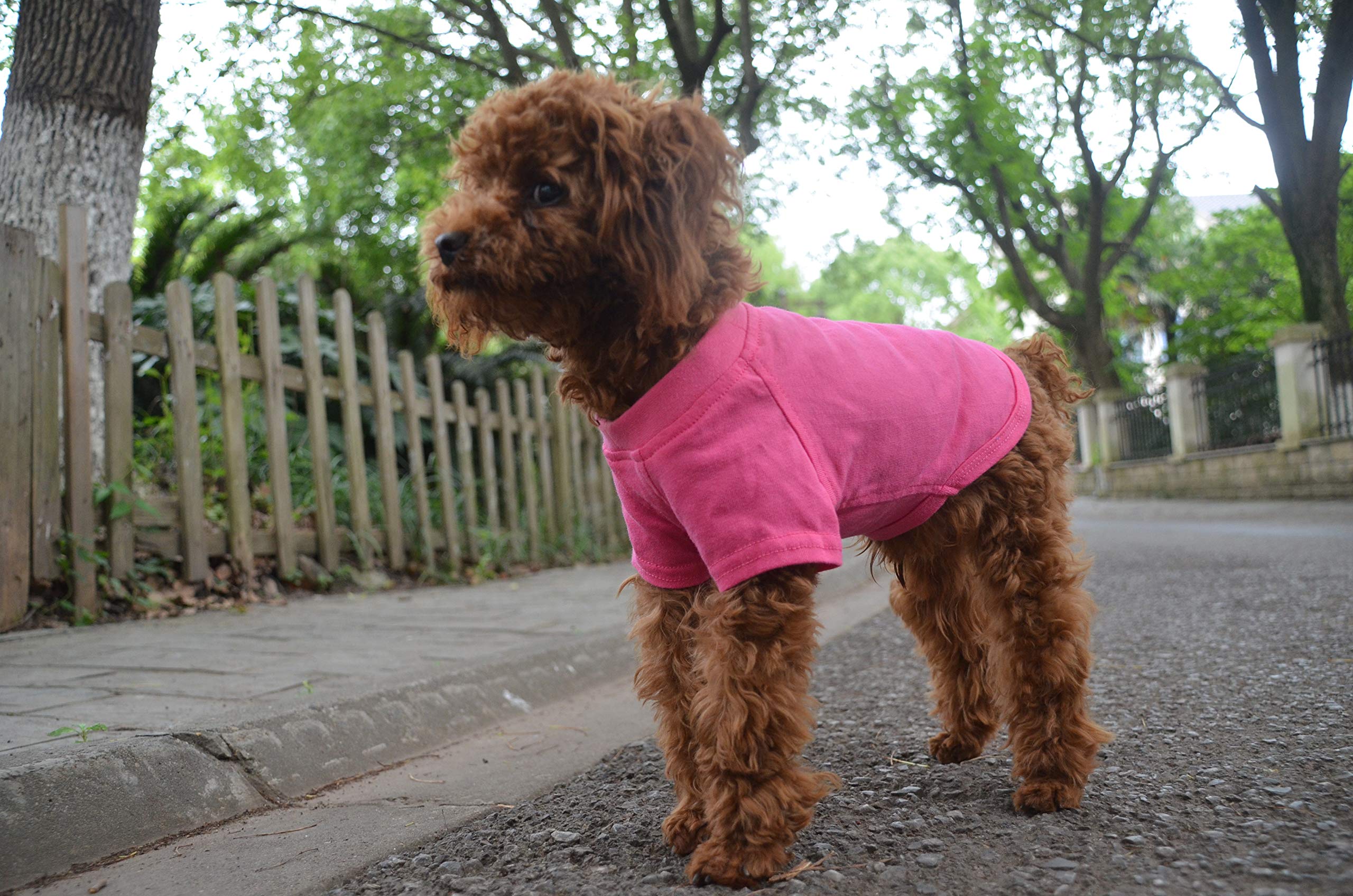 Lovelonglong 2019 Pet Clothing Dog Costumes Basic Blank T-Shirt Tee Shirts For Small Dogs Rosered L